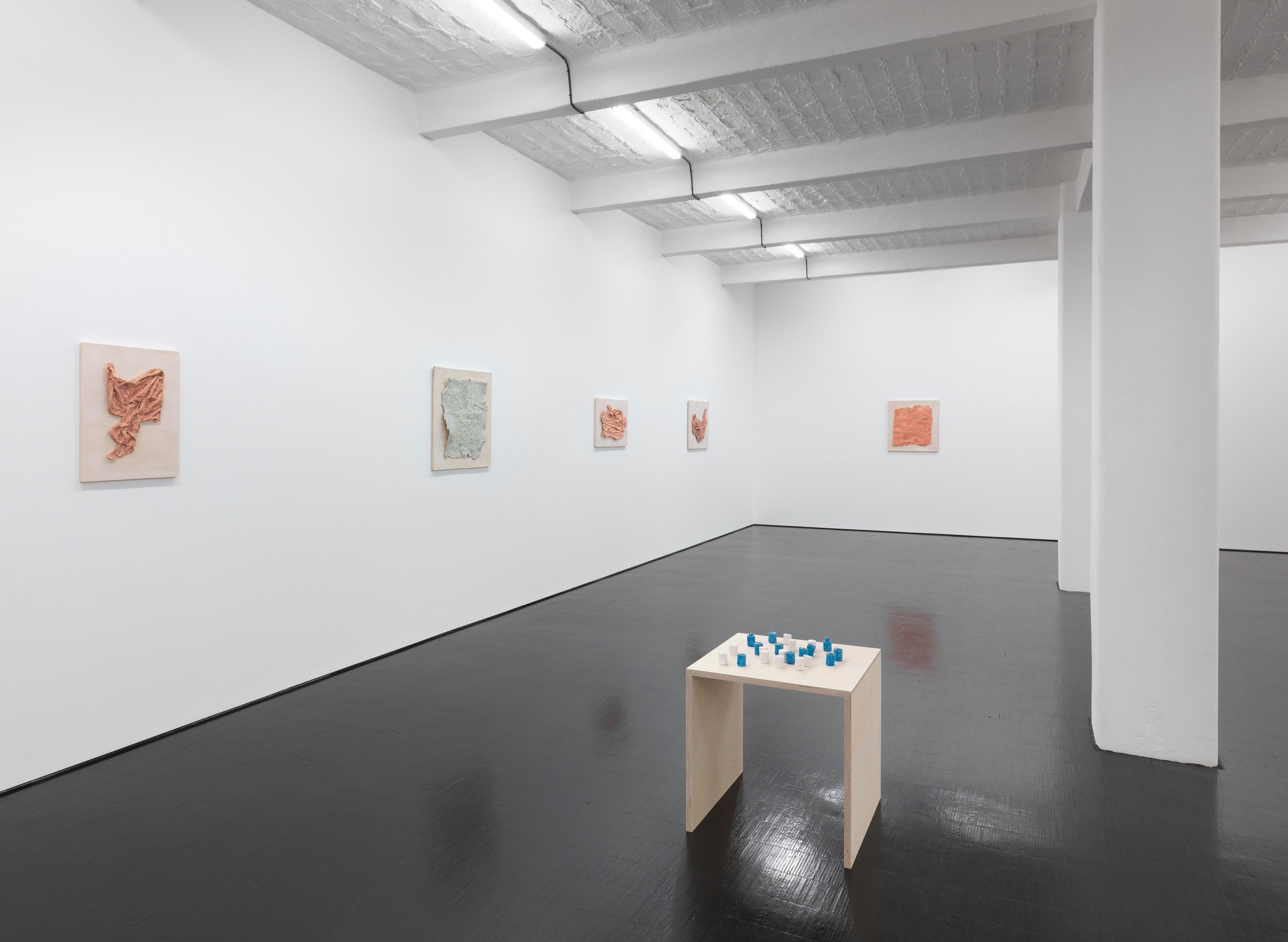 Mai-Thu Perret, Beast of Burden at Trautwein Herleth, photo 3