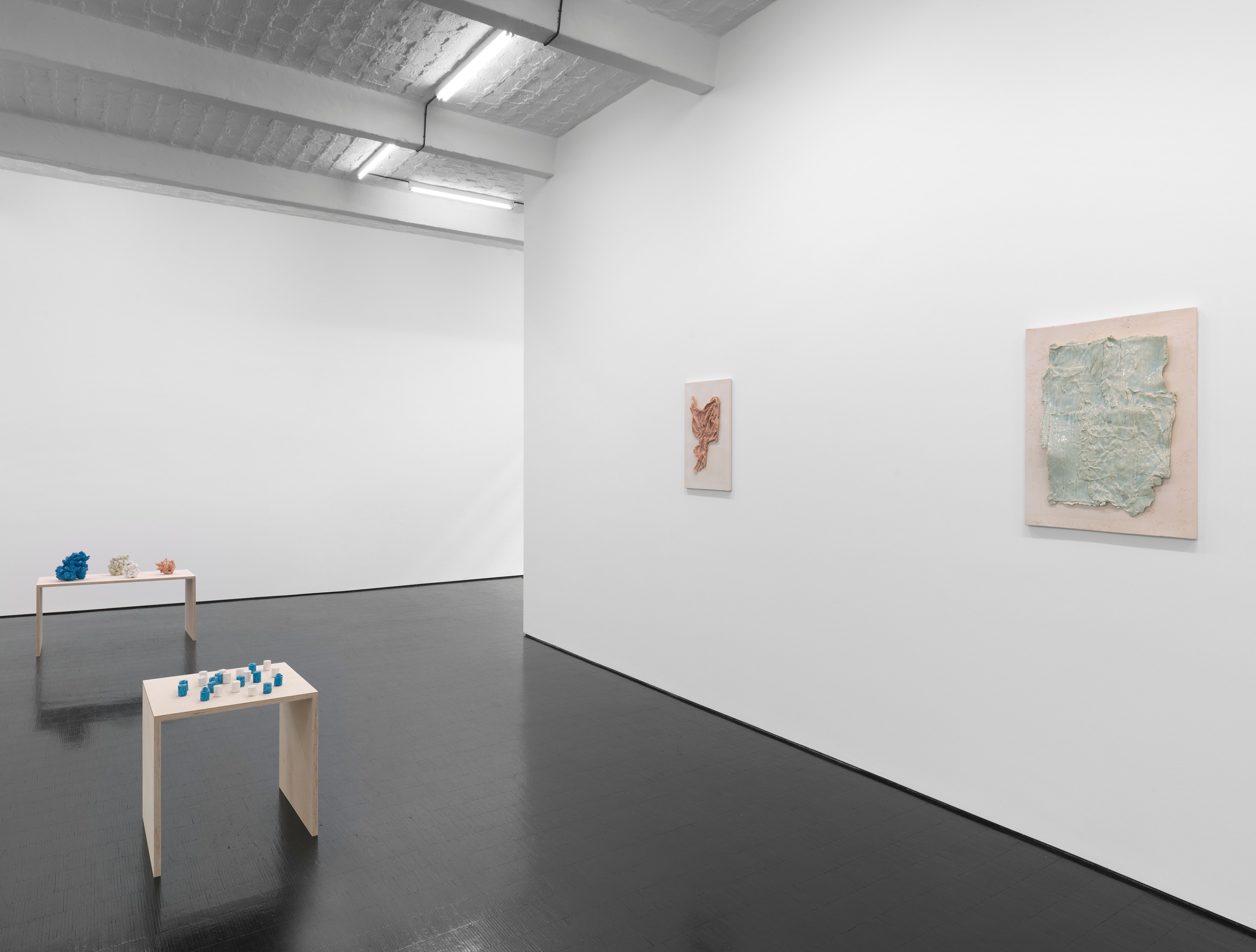 Mai-Thu Perret, Beast of Burden at Trautwein Herleth, photo 5