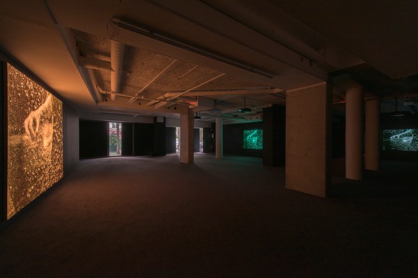 Image 3 of 54