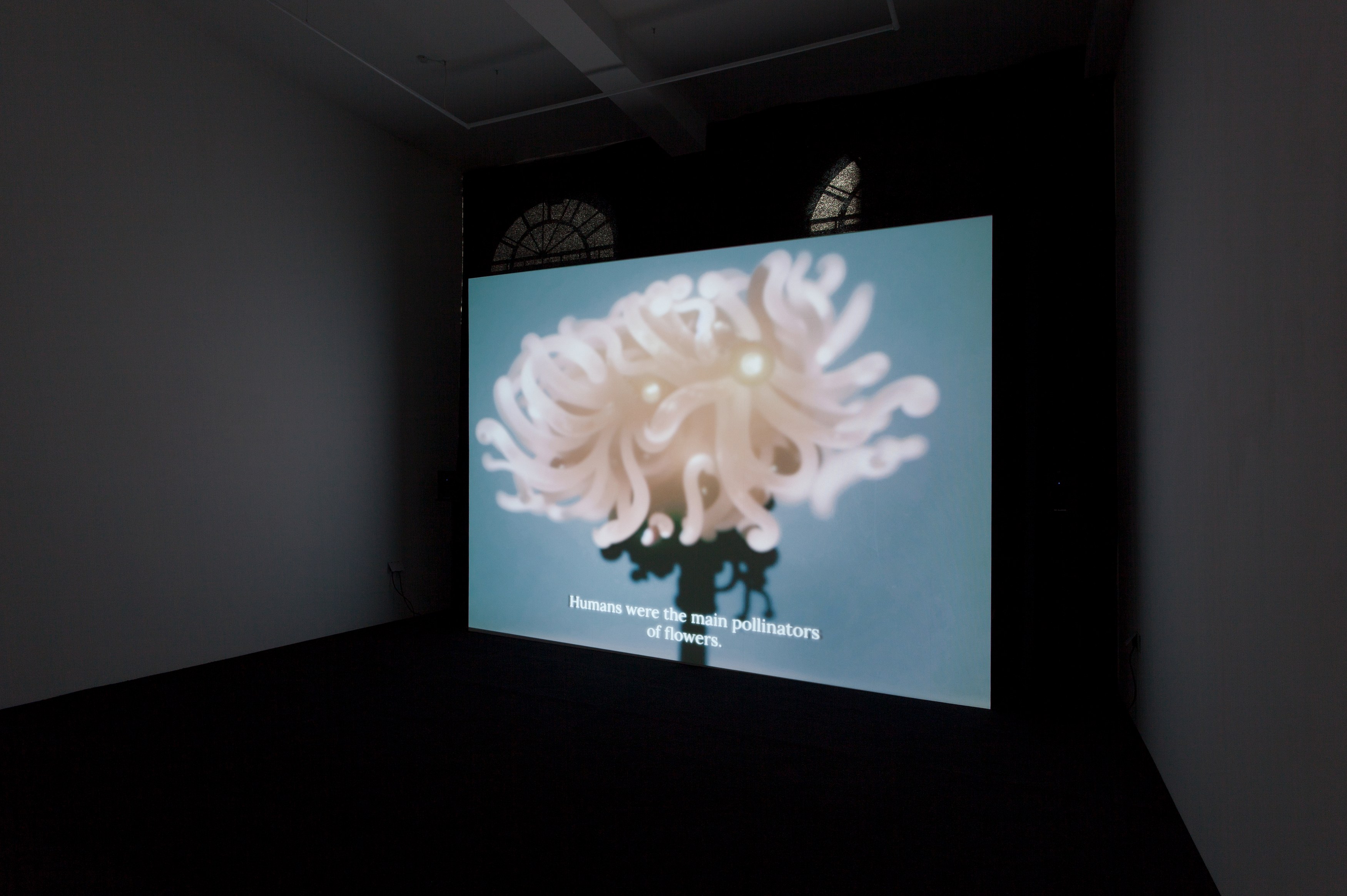 Agnieszka Polska, The Book of Flowers at Union Pacific, photo 3