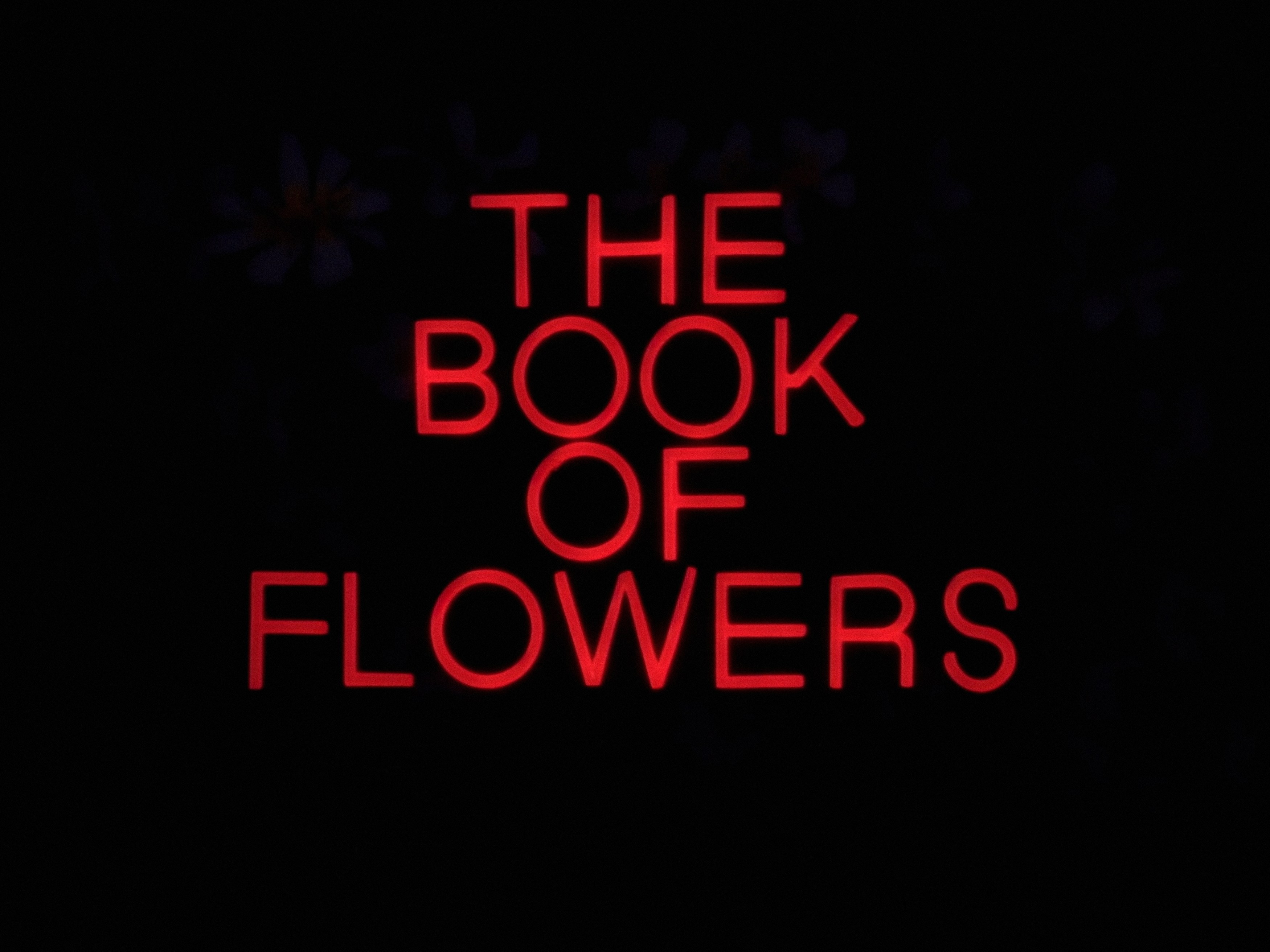 Agnieszka Polska, The Book of Flowers at Union Pacific, photo 4