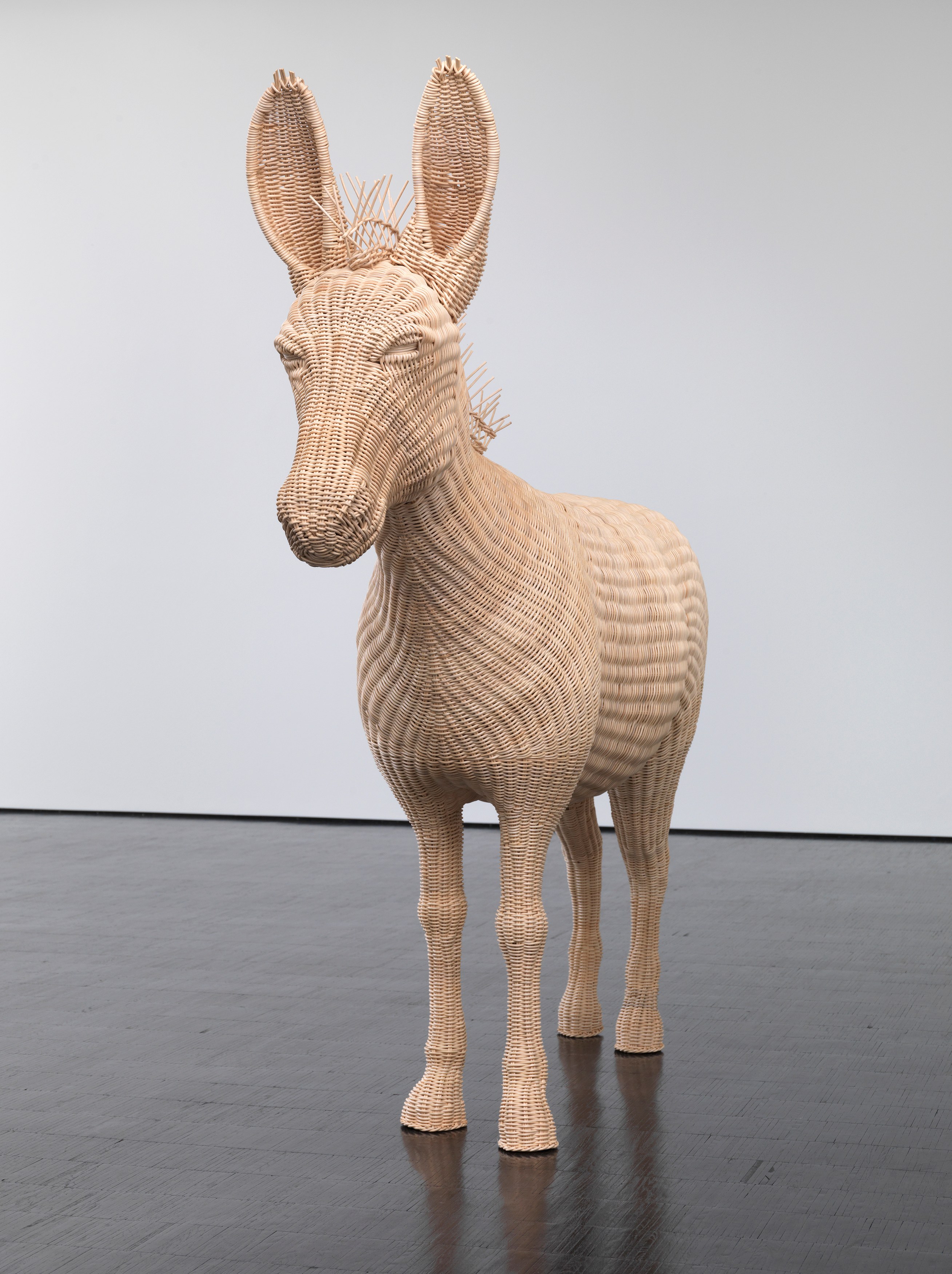 Mai-Thu Perret, Beast of Burden at Trautwein Herleth, photo 15
