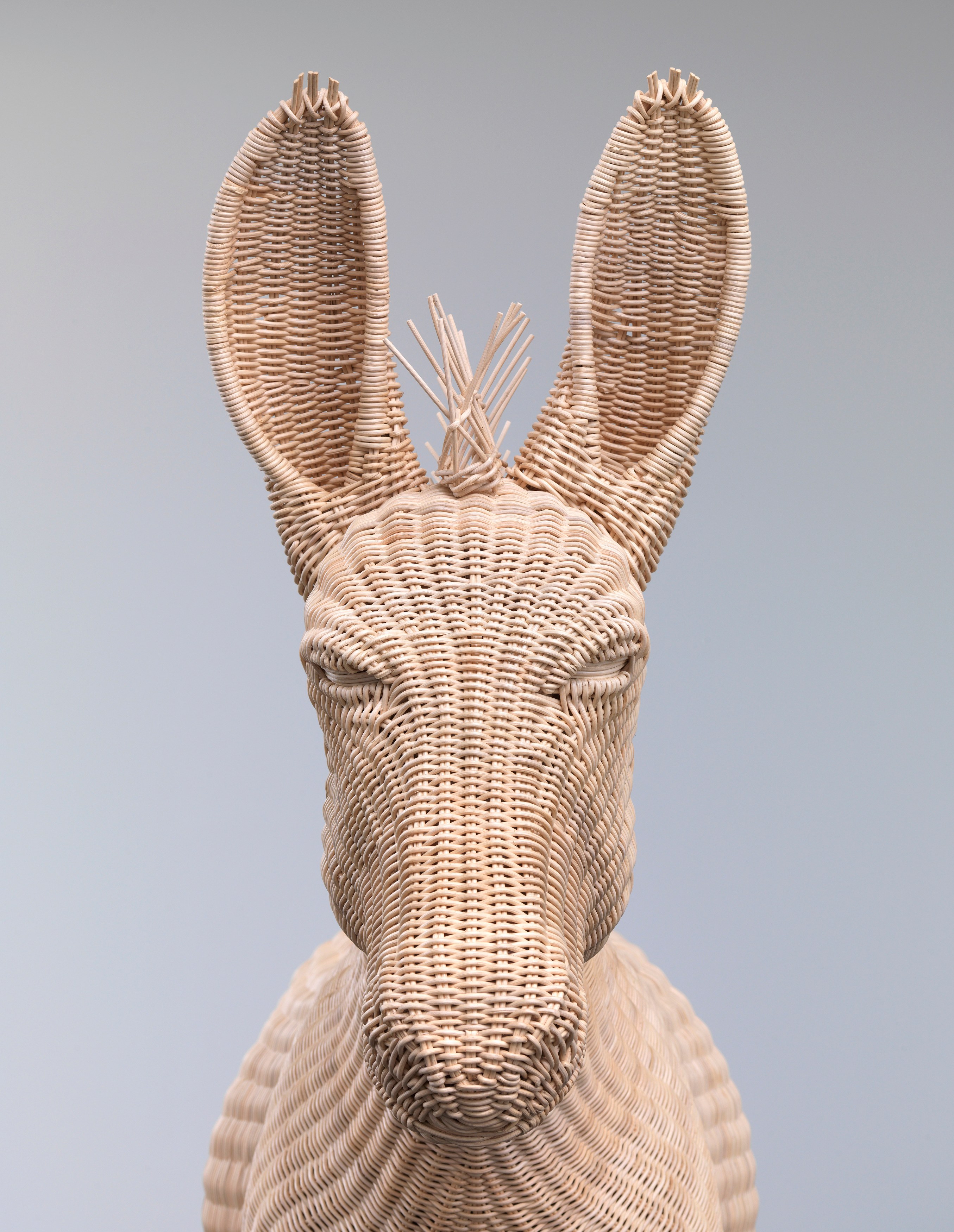 Mai-Thu Perret, Beast of Burden at Trautwein Herleth, photo 16