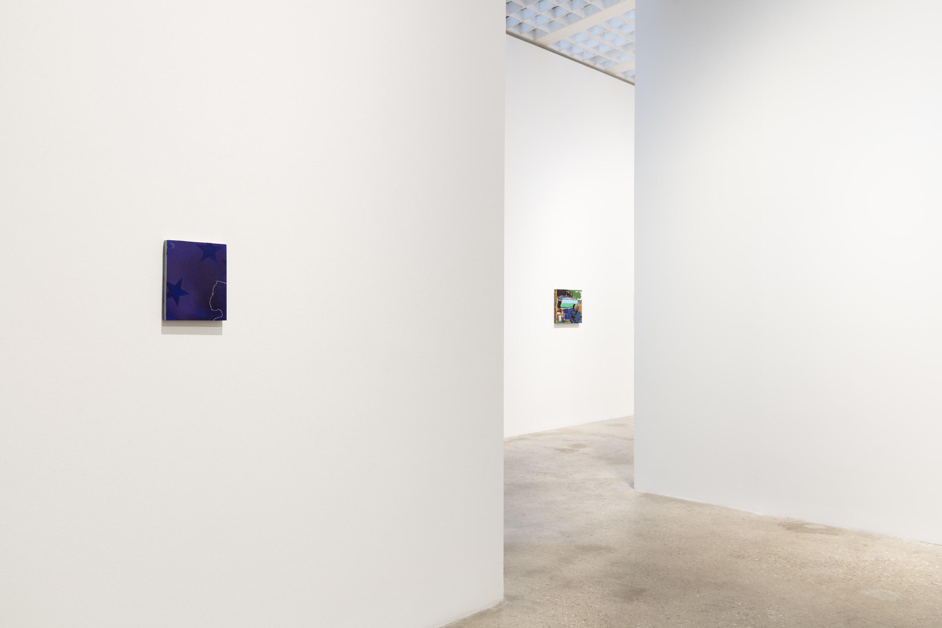 Walter Price, Pearl Lines at Greene Naftali, photo 20