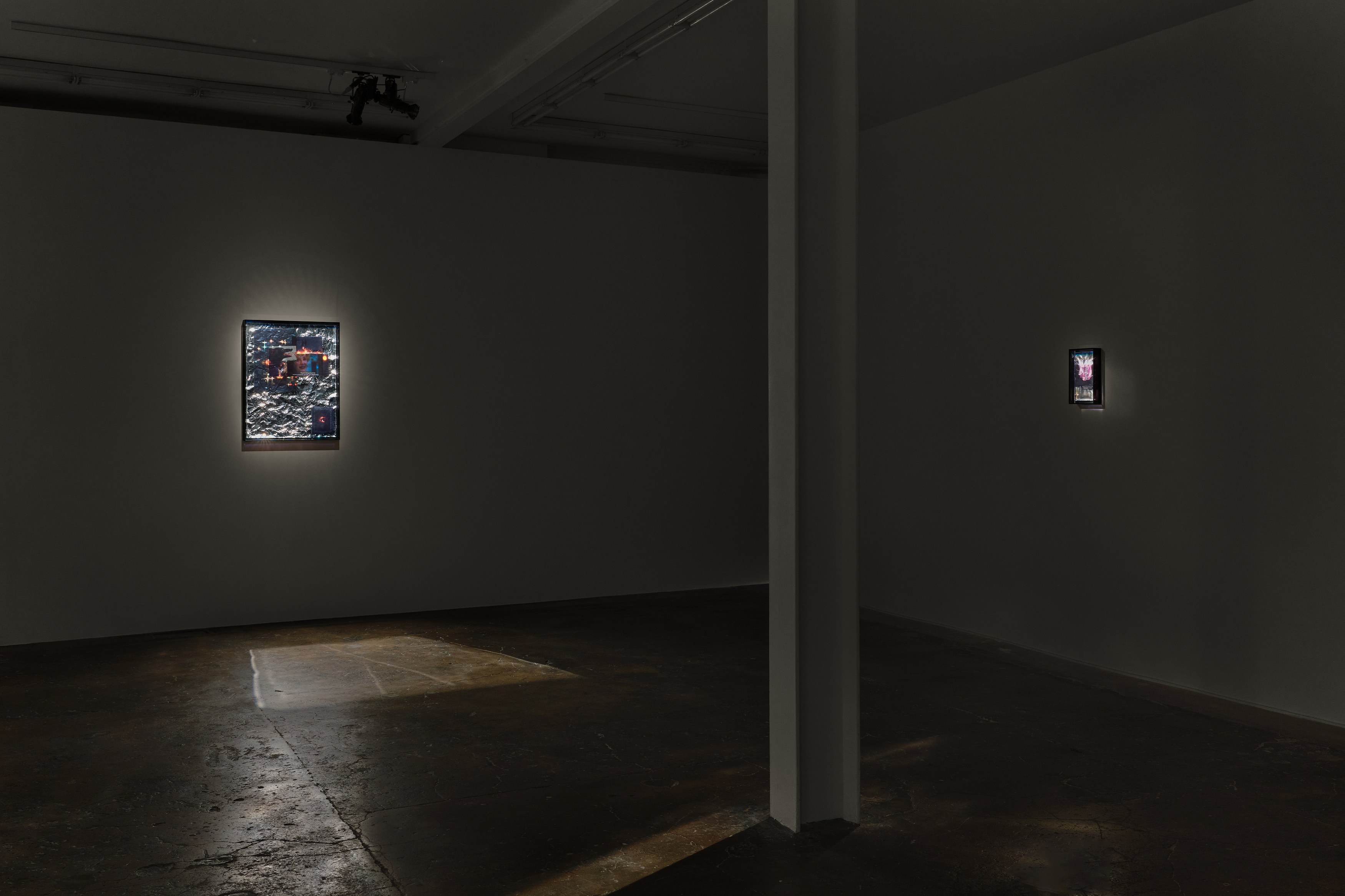 Ebun Sodipo, An Ominous Presence at Soft Opening, photo 4