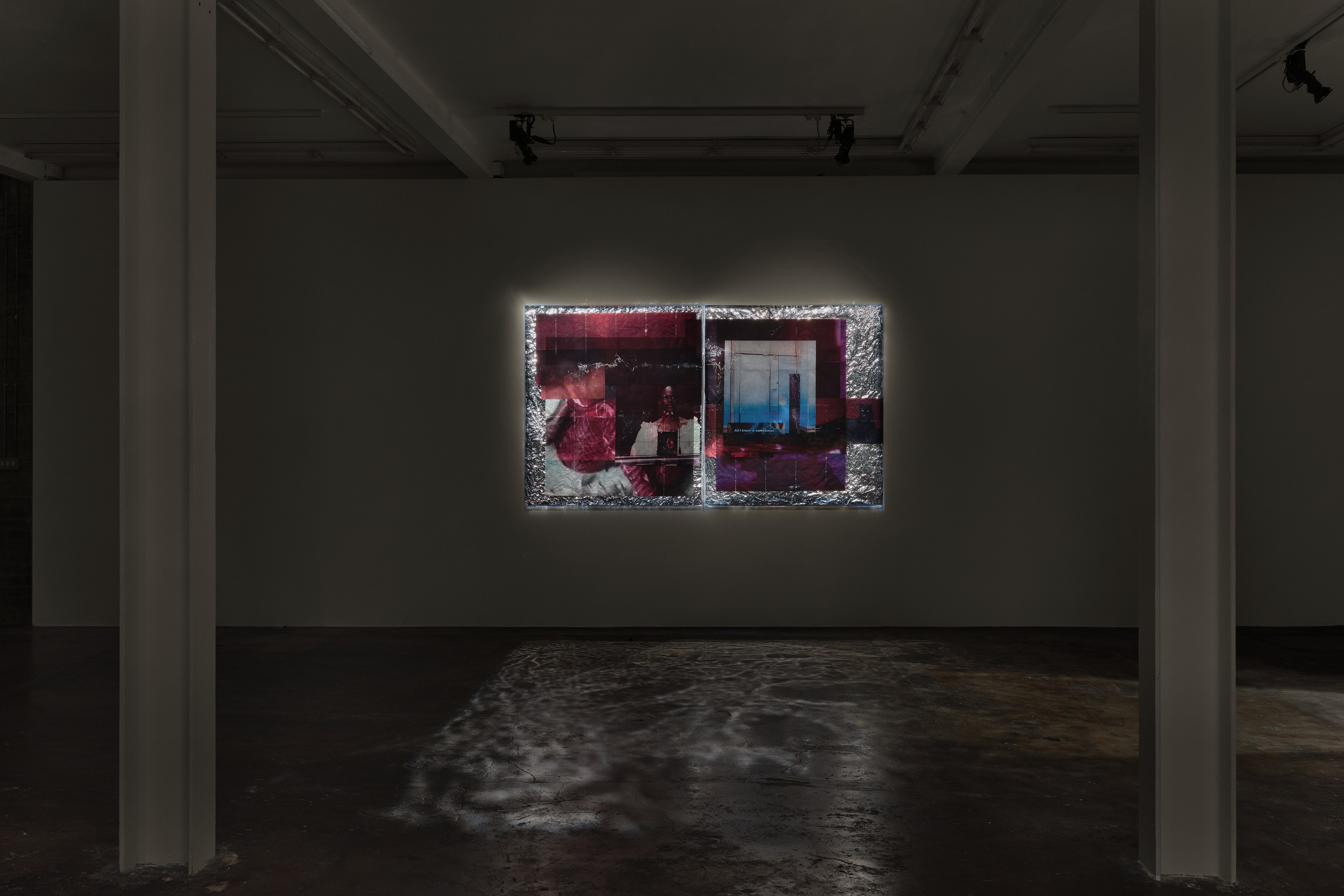 Ebun Sodipo, An Ominous Presence at Soft Opening, photo 6