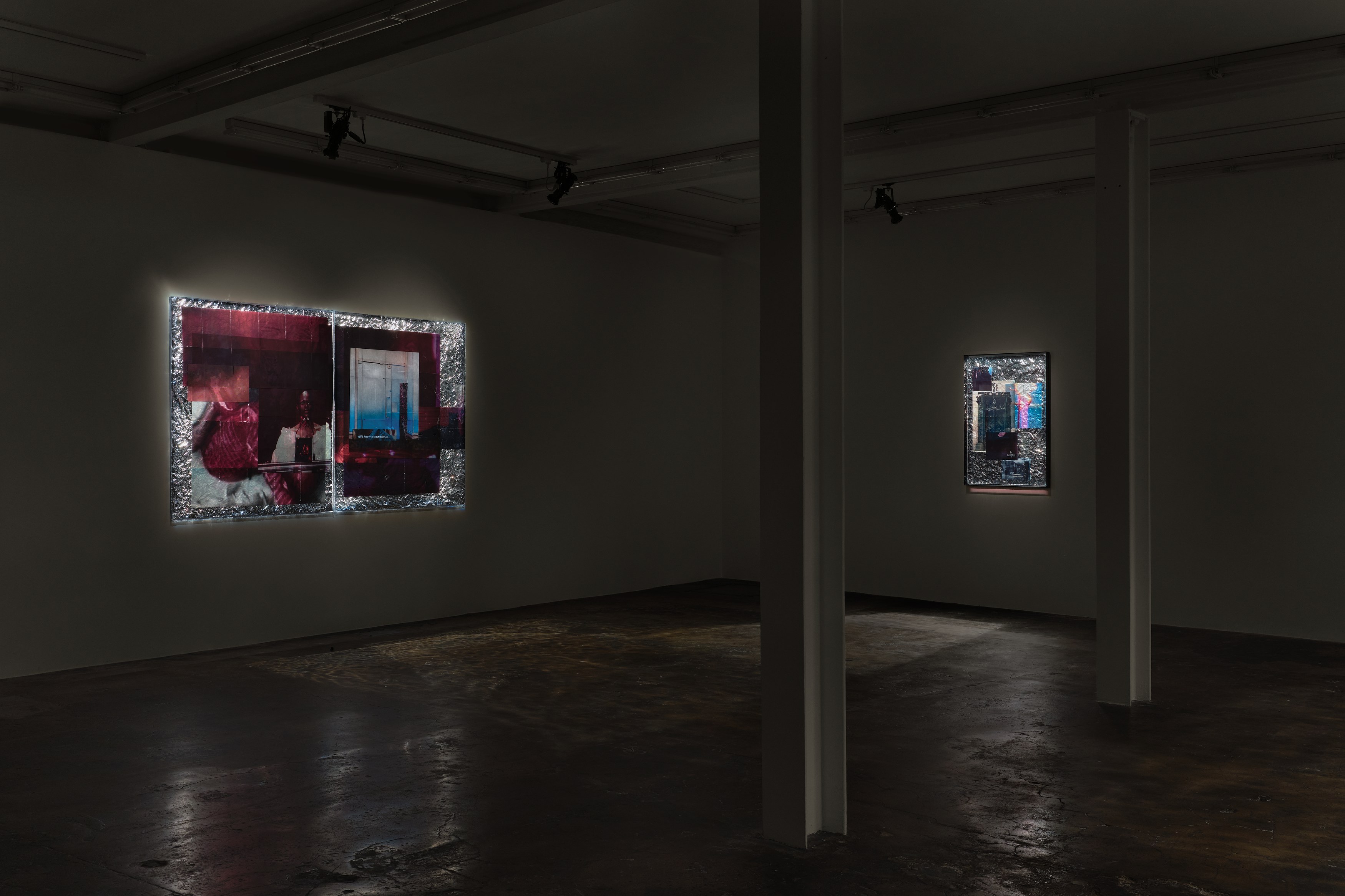 Ebun Sodipo, An Ominous Presence at Soft Opening, photo 5