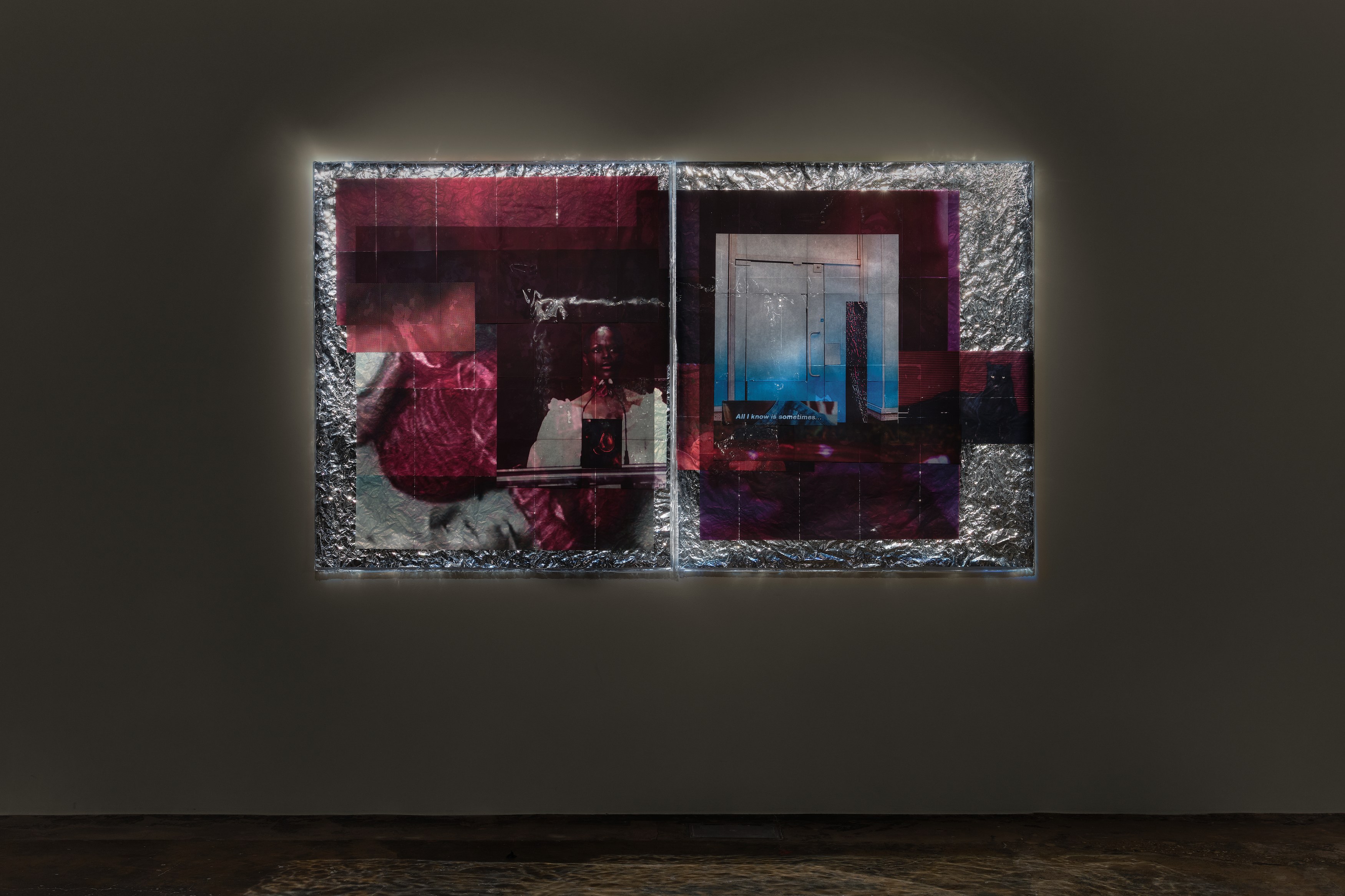Ebun Sodipo, An Ominous Presence at Soft Opening, photo 11