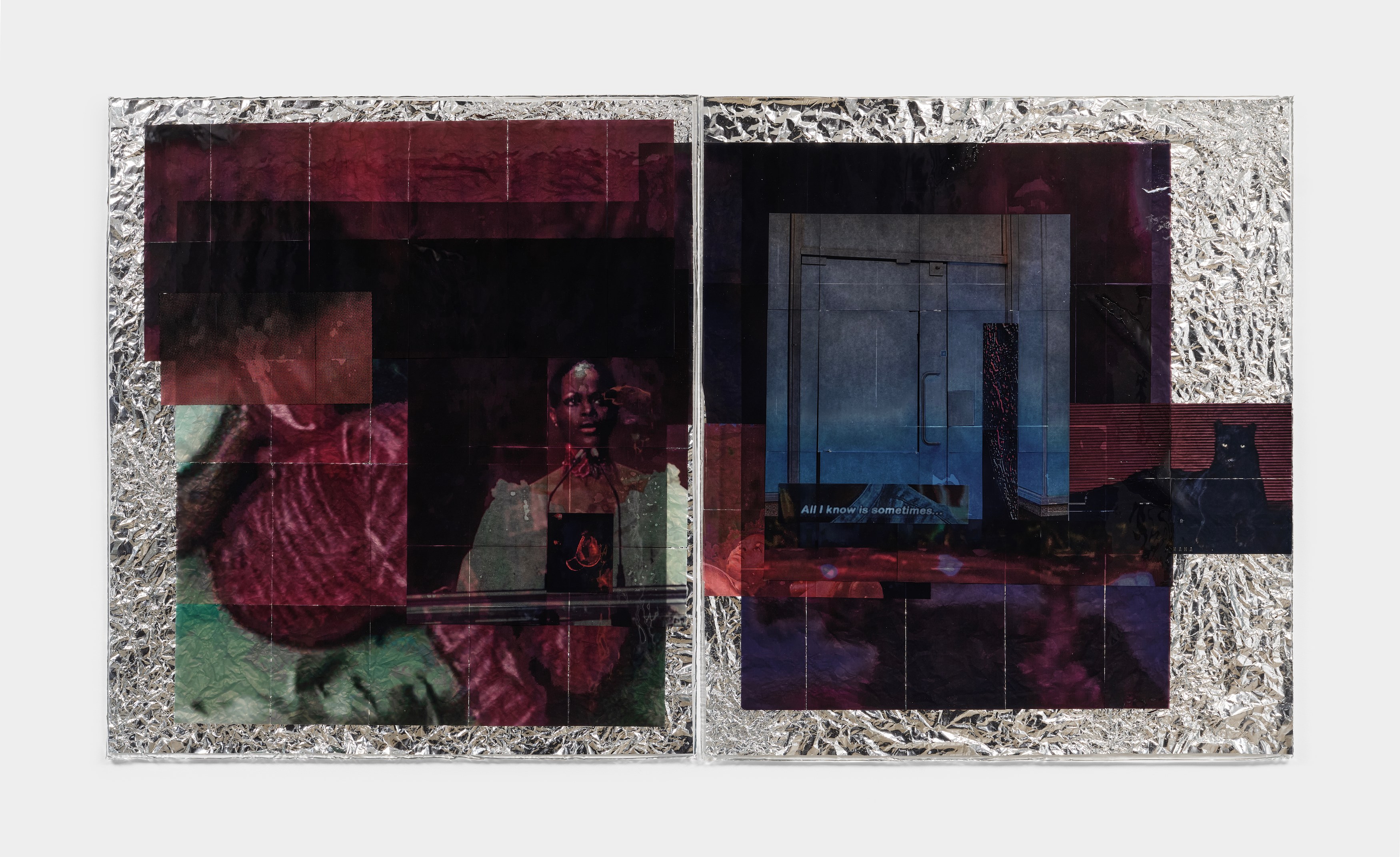 Ebun Sodipo, An Ominous Presence at Soft Opening, photo 15