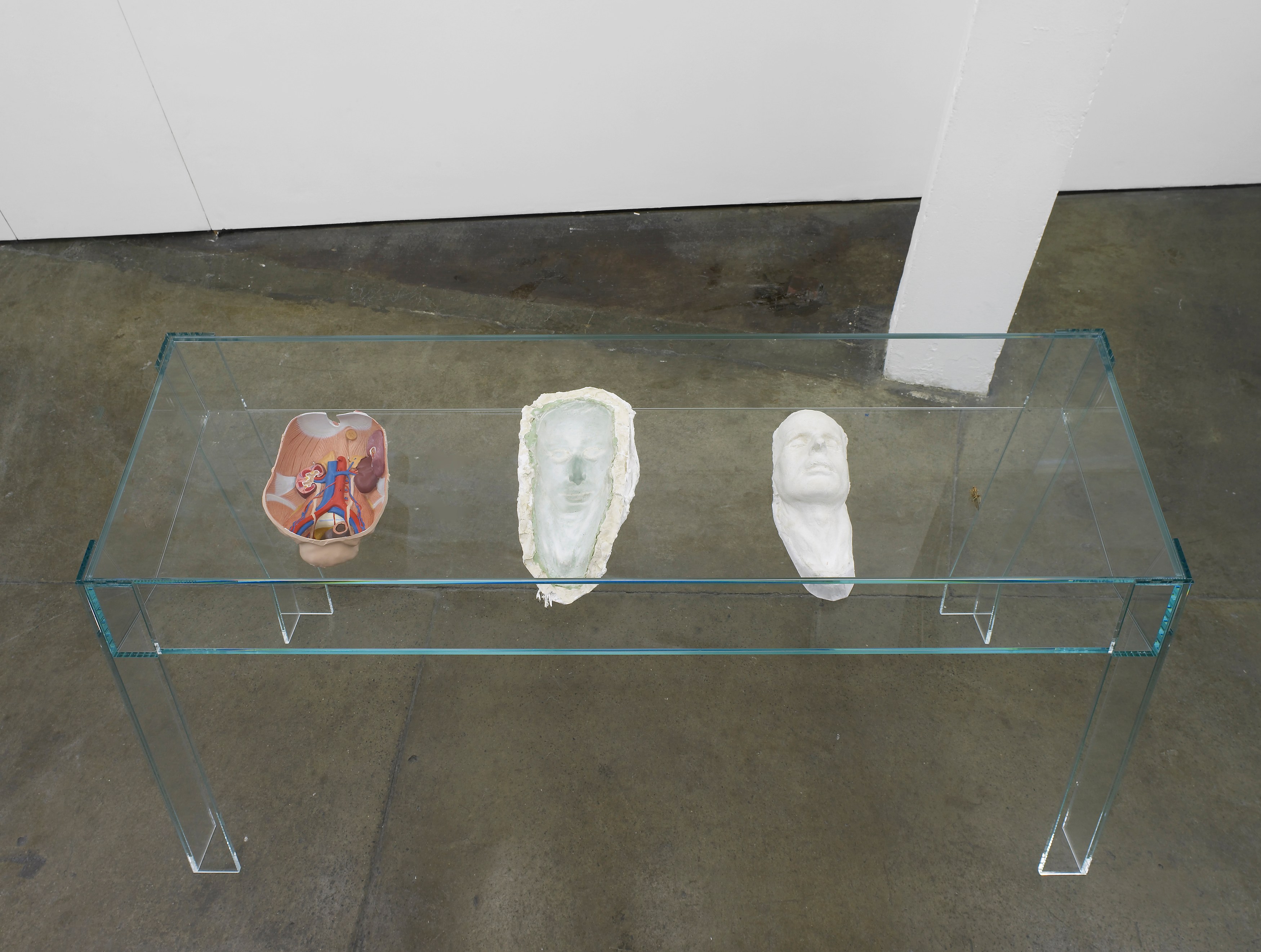 Klaus Weber, ALL BODIES FALL EQUALLY FAST at Museum St, photo 11