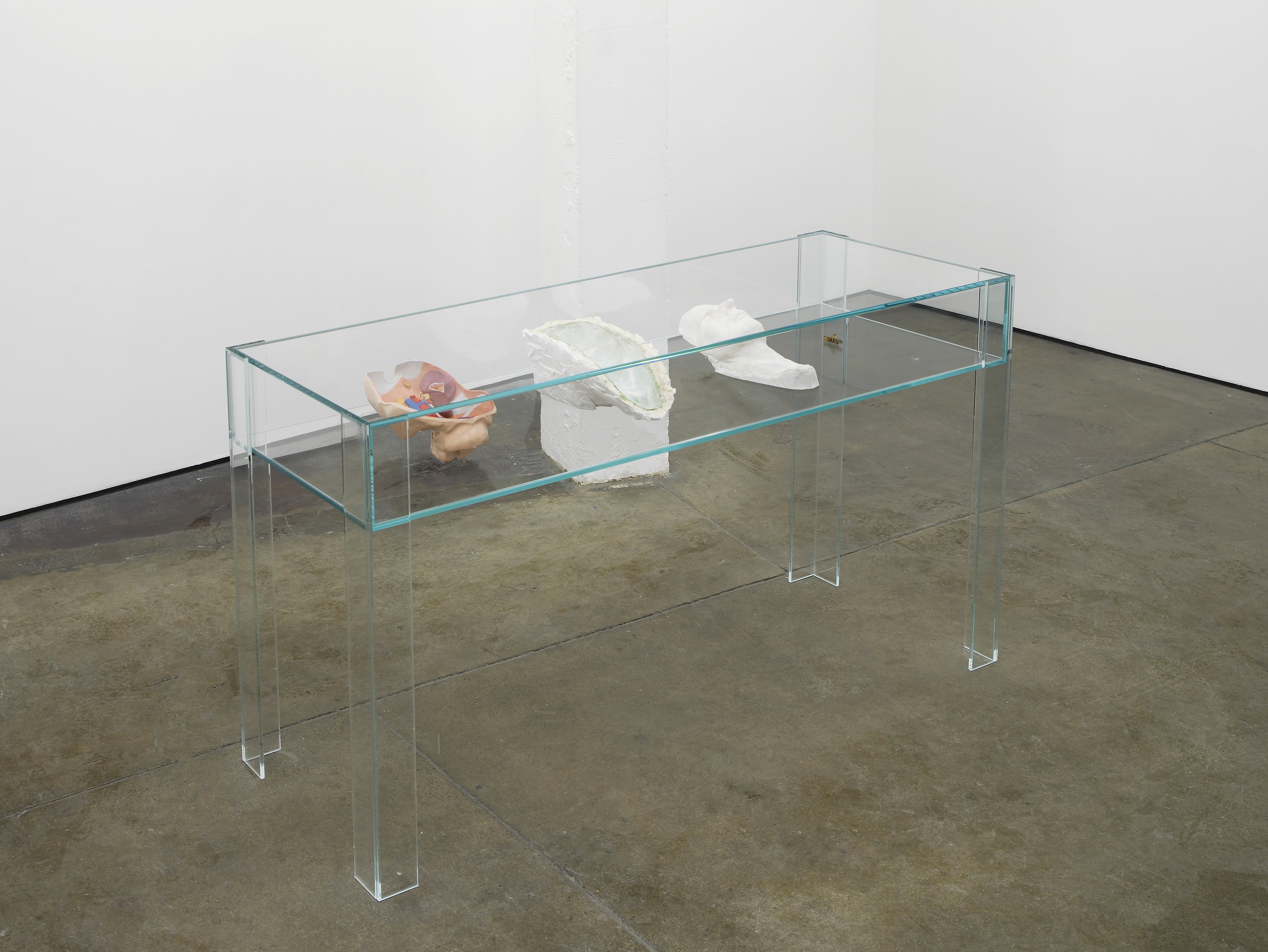 Klaus Weber, ALL BODIES FALL EQUALLY FAST at Museum St, photo 12