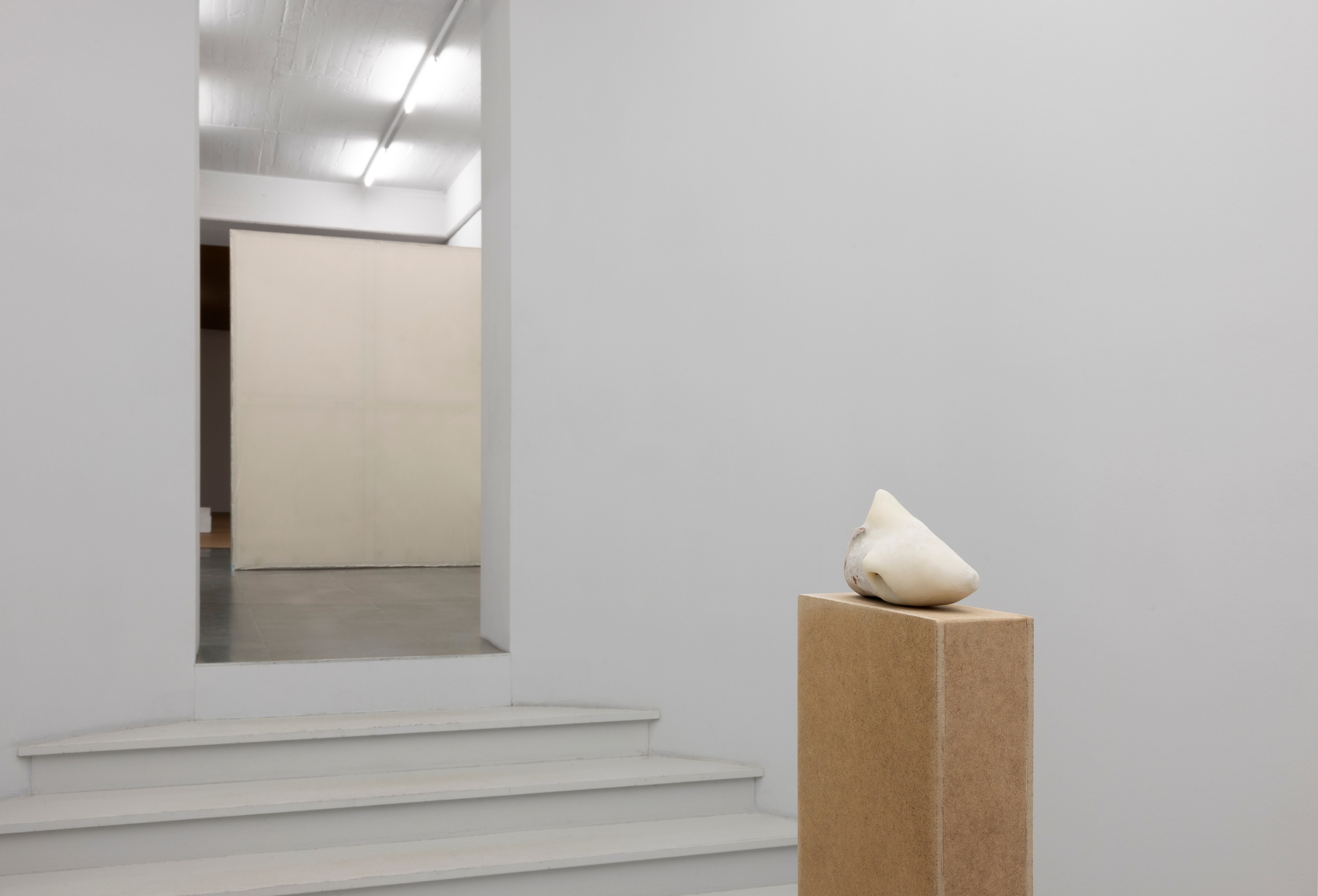 Ian Waelder, Cadence at Carlier Gebauer, photo 2