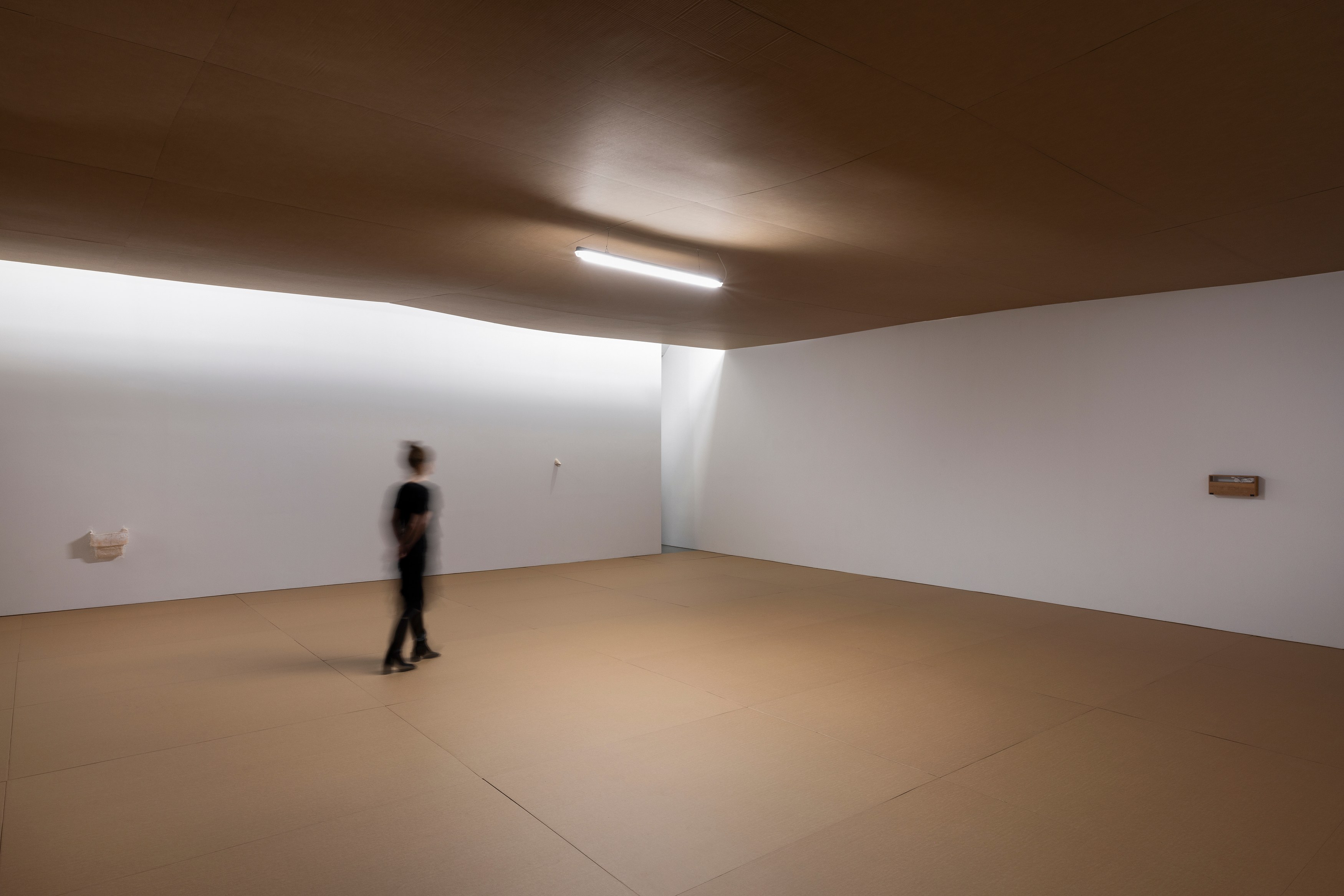Ian Waelder, Cadence at Carlier Gebauer, photo 13