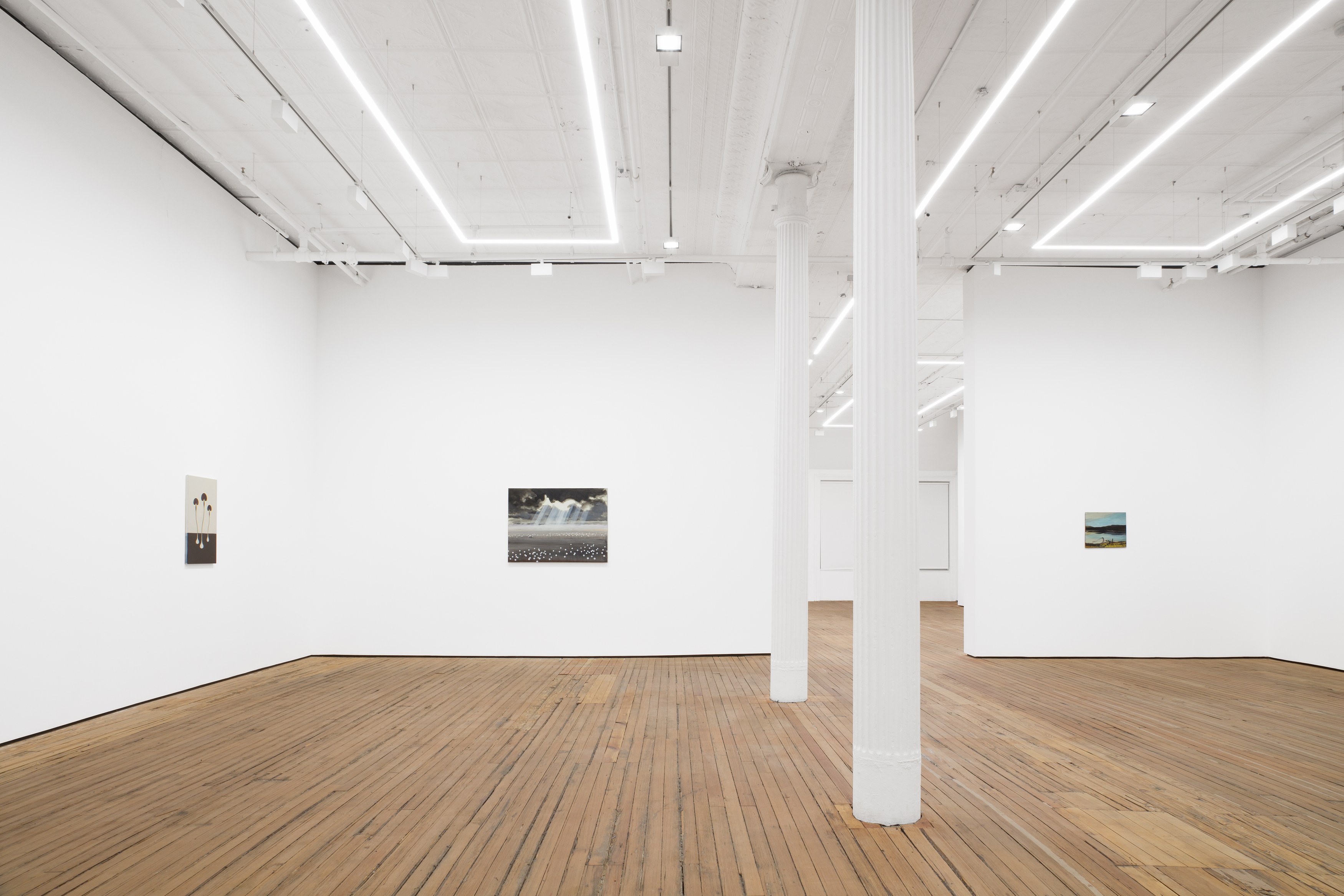 Charles Avery, The Eidola, Pigs and Blades of the Inner Vast at Grimm, photo 3