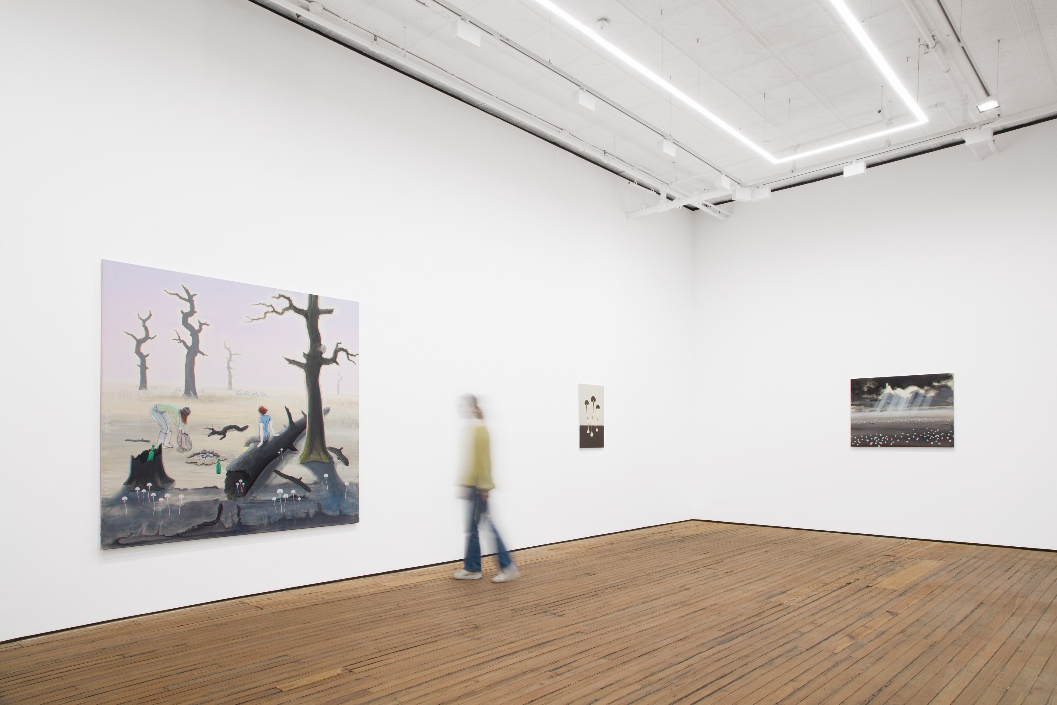 Charles Avery, The Eidola, Pigs and Blades of the Inner Vast at Grimm, photo 4