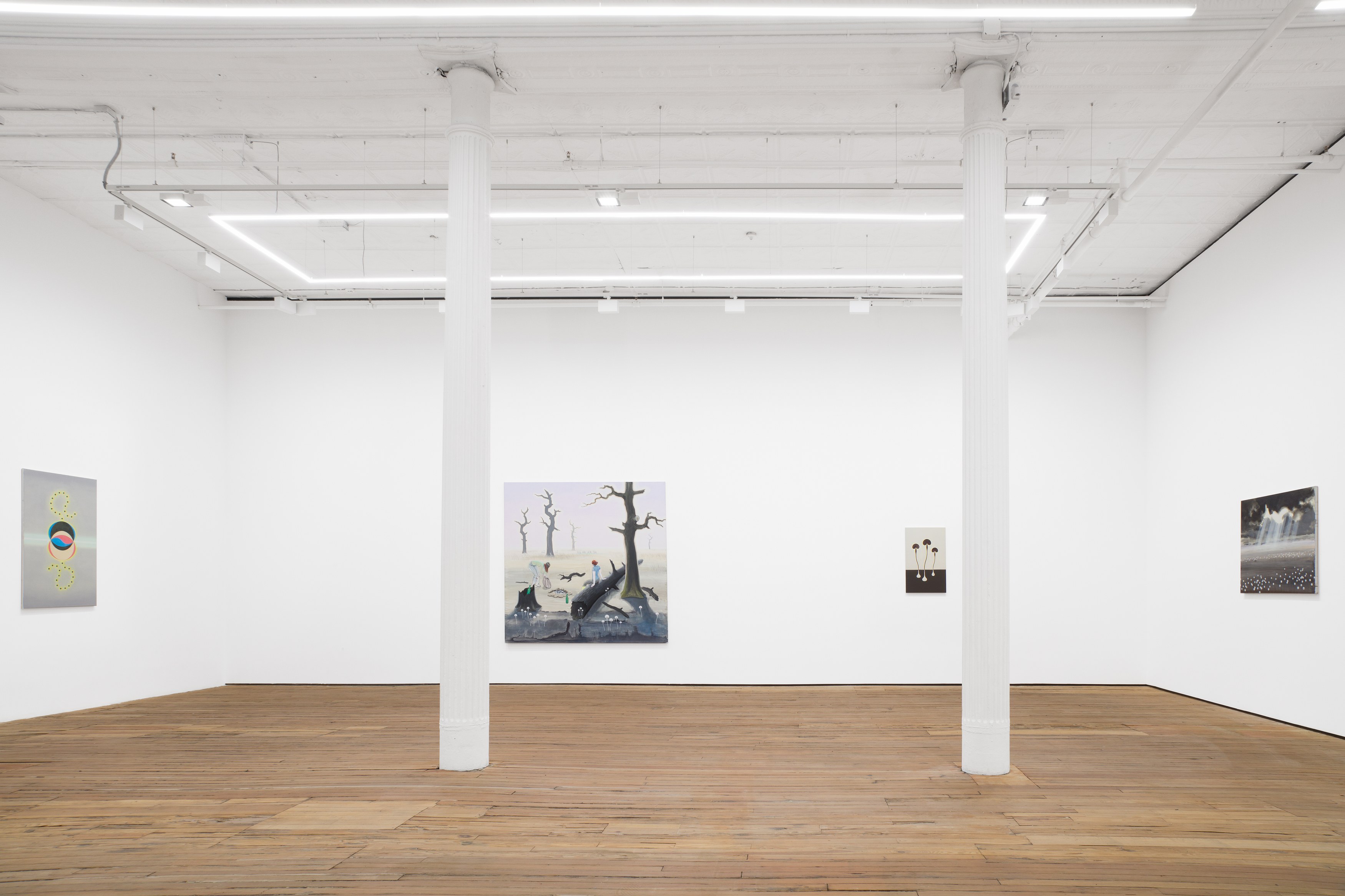 Charles Avery, The Eidola, Pigs and Blades of the Inner Vast at Grimm, photo 5