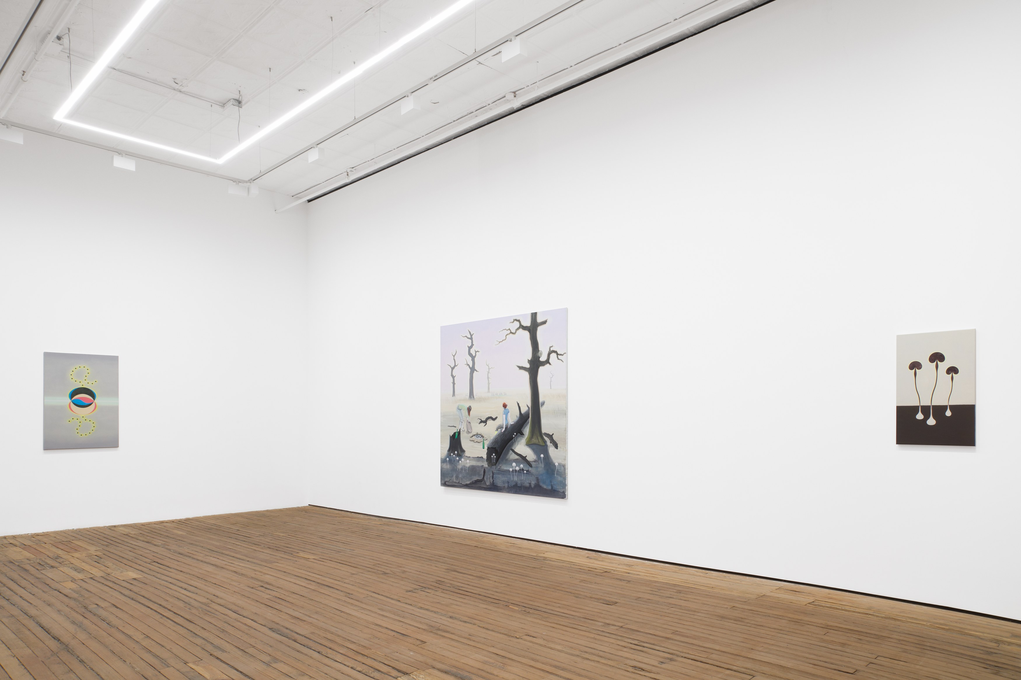 Charles Avery, The Eidola, Pigs and Blades of the Inner Vast at Grimm, photo 6
