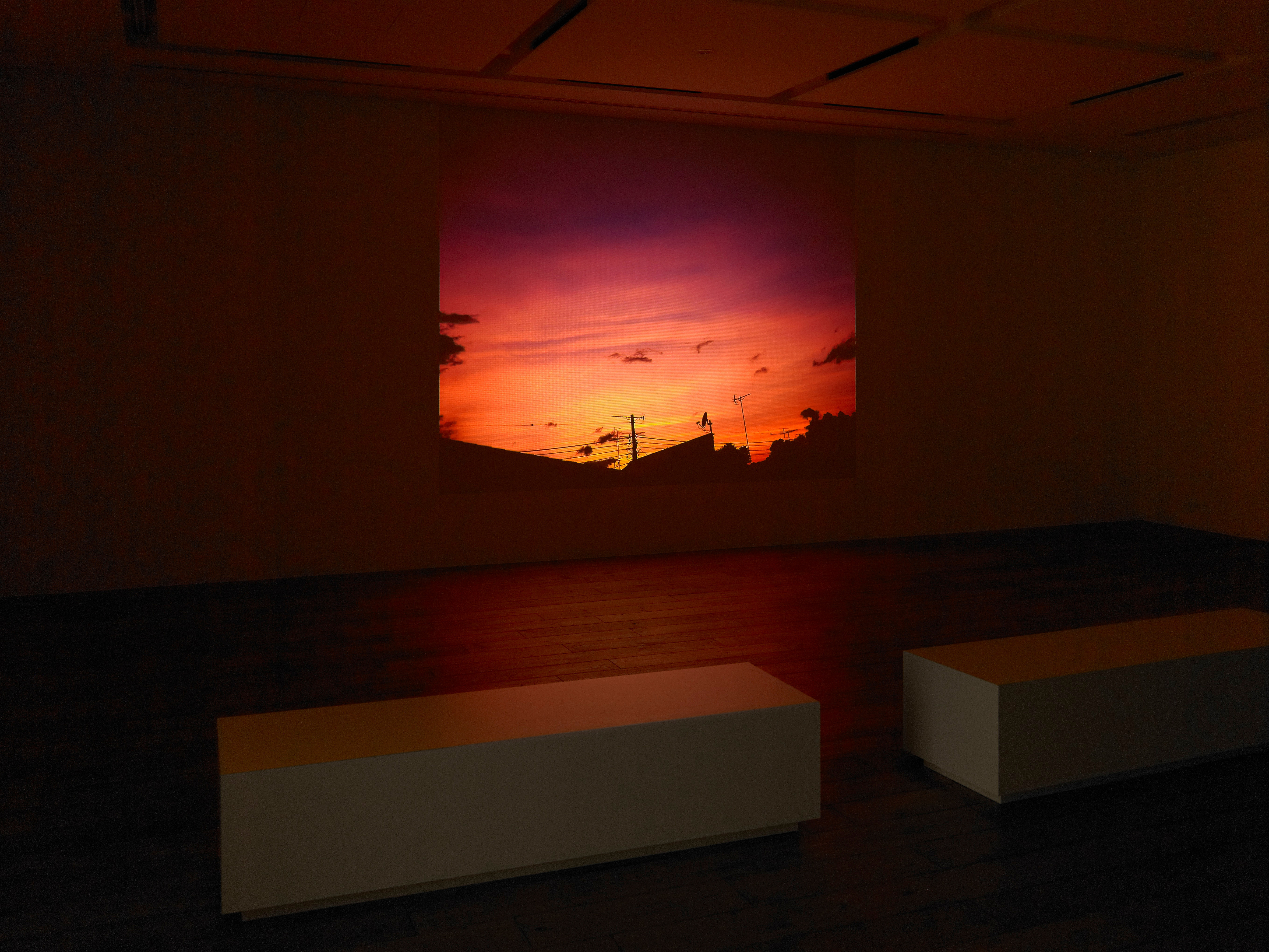 AaT RooM/NOBUYOSHI ARAKI 【公式通販】