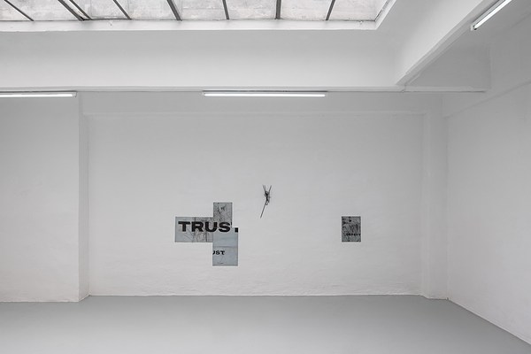 Image 9 of 10