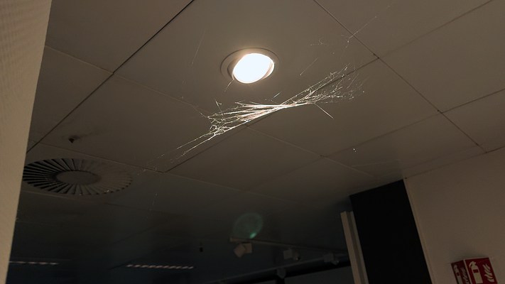 Image 21 of 27