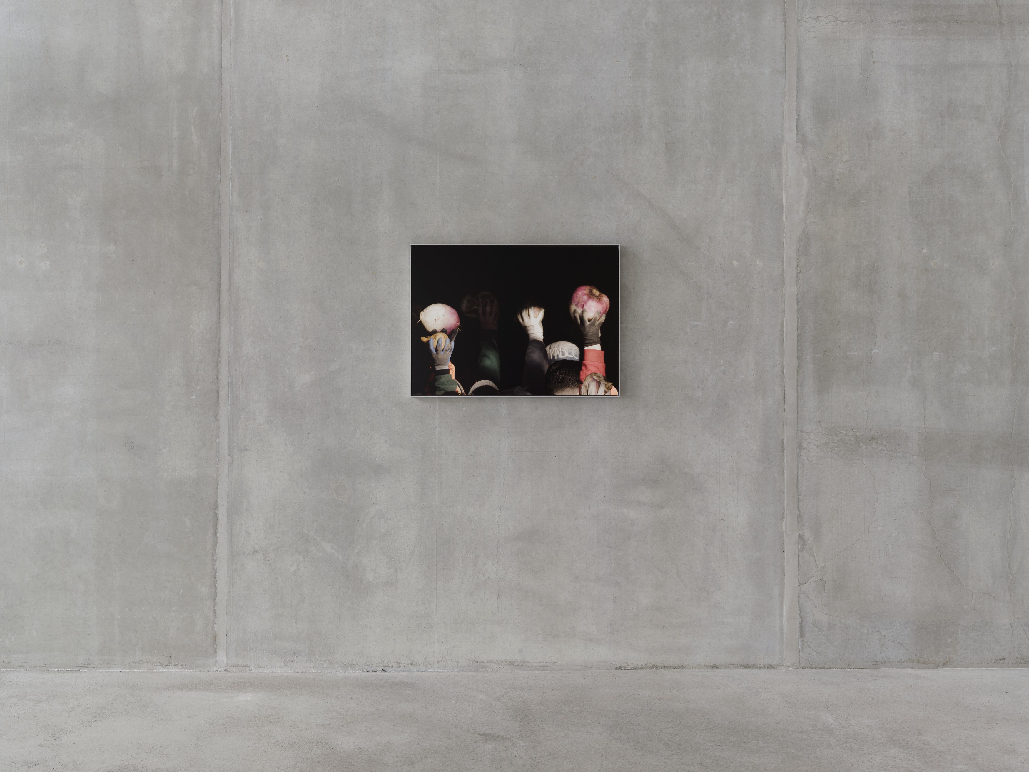 Yalda Afsah, Barrage at Galerie Molitor, photo 9