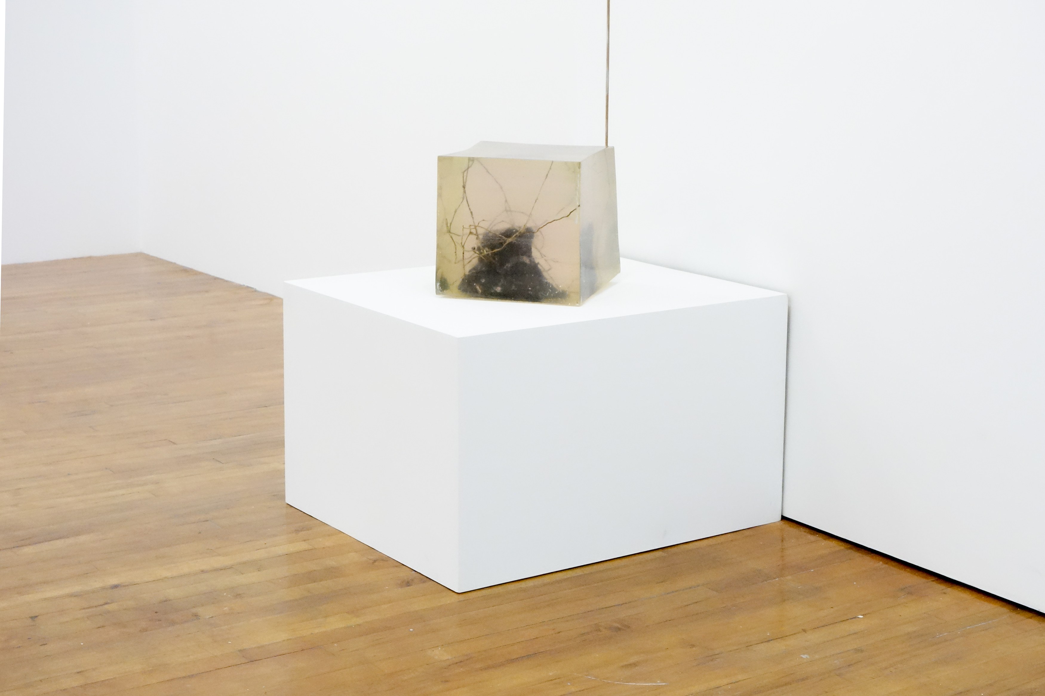 Anna Campbell, Joy Episalla, Thomas Fougeirol, Craig Jun Li, Linda Matalon, David Nelson, Carlos Reyes, Jo-ey Tang, image 20 of 35