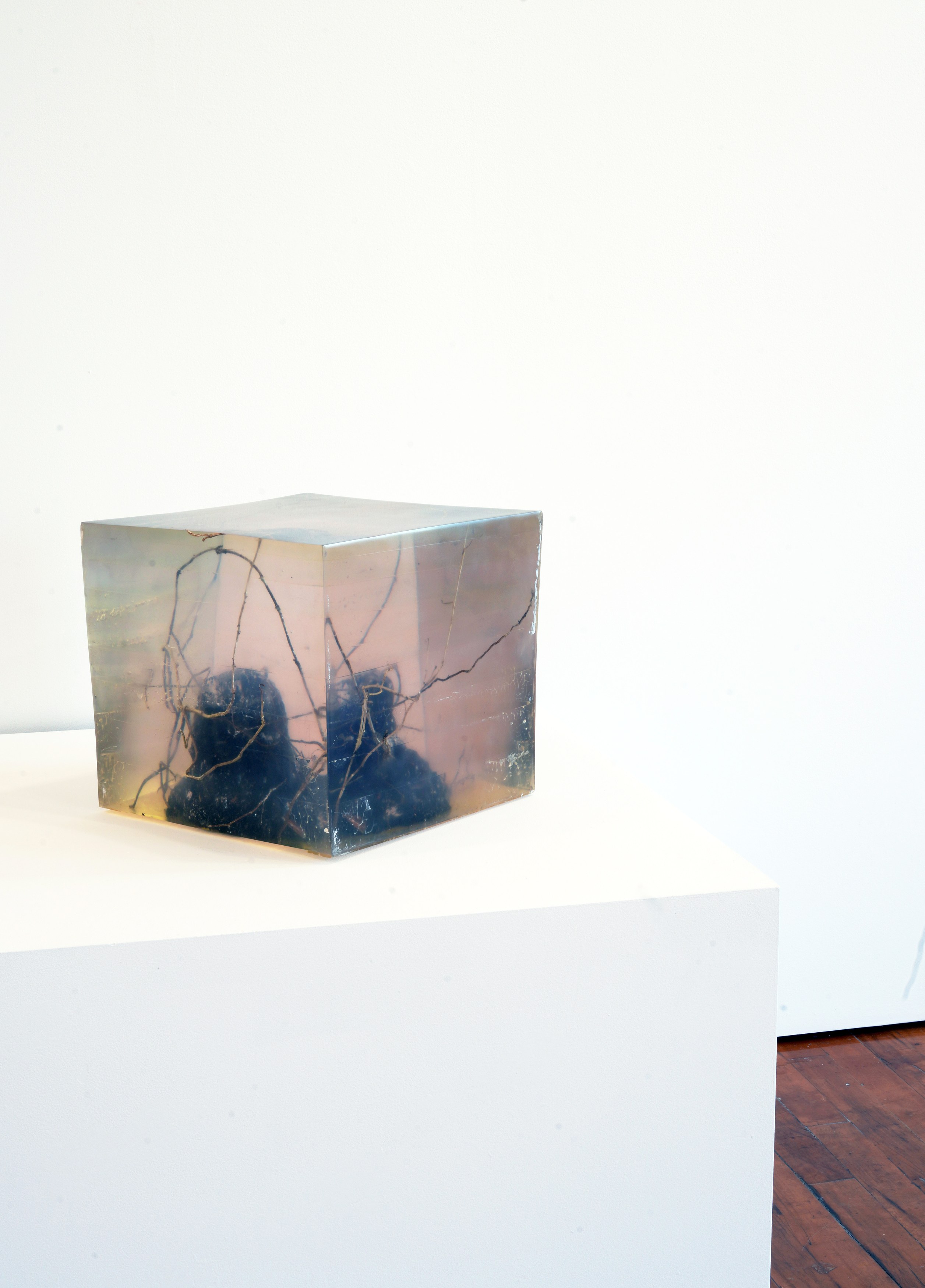 Anna Campbell, Joy Episalla, Thomas Fougeirol, Craig Jun Li, Linda Matalon, David Nelson, Carlos Reyes, Jo-ey Tang, image 19 of 35
