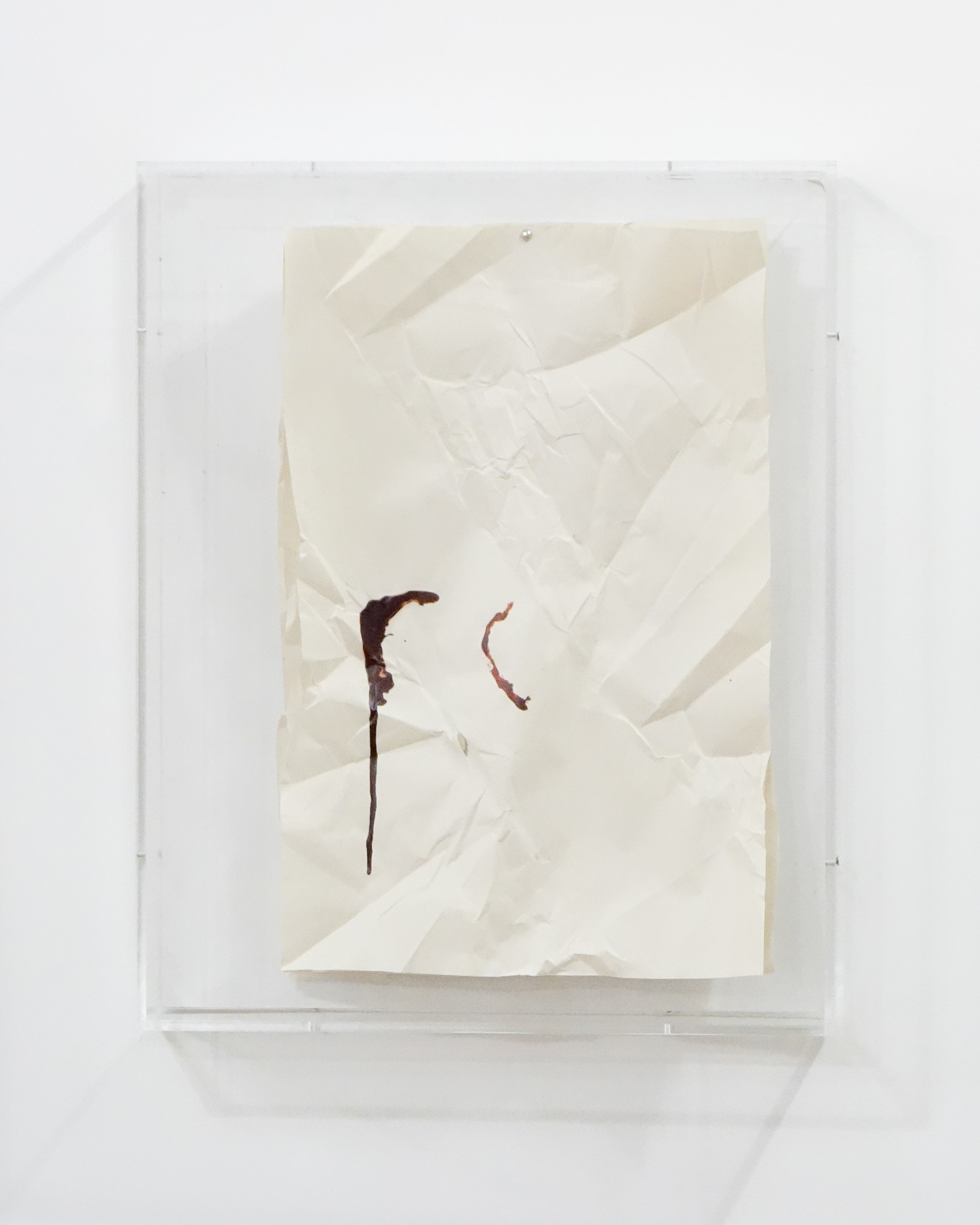 Anna Campbell, Joy Episalla, Thomas Fougeirol, Craig Jun Li, Linda Matalon, David Nelson, Carlos Reyes, Jo-ey Tang, image 27 of 35
