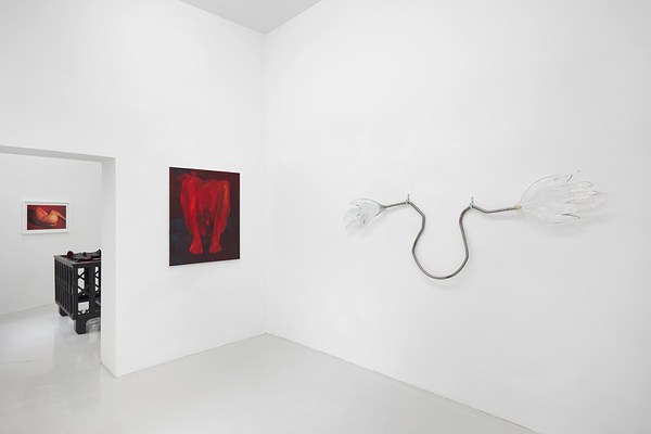 Image 10 of 23