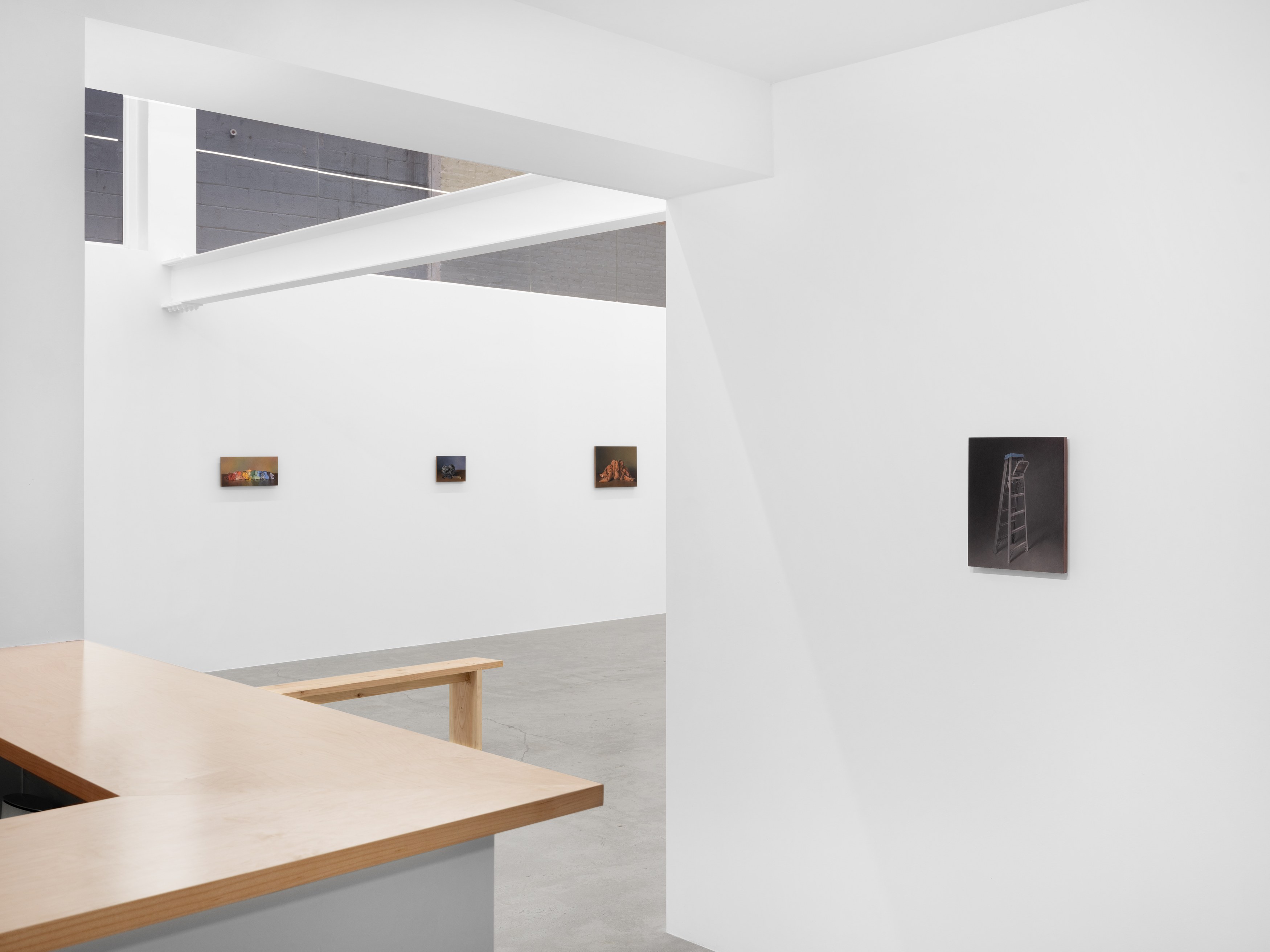 Elizabeth Crawford, Ted Mineo, Objects, Intuitions, Concepts at Harkawik, photo 5
