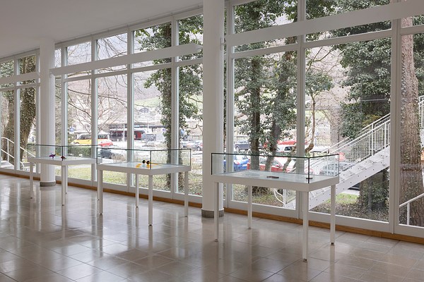 Image 7 of 65