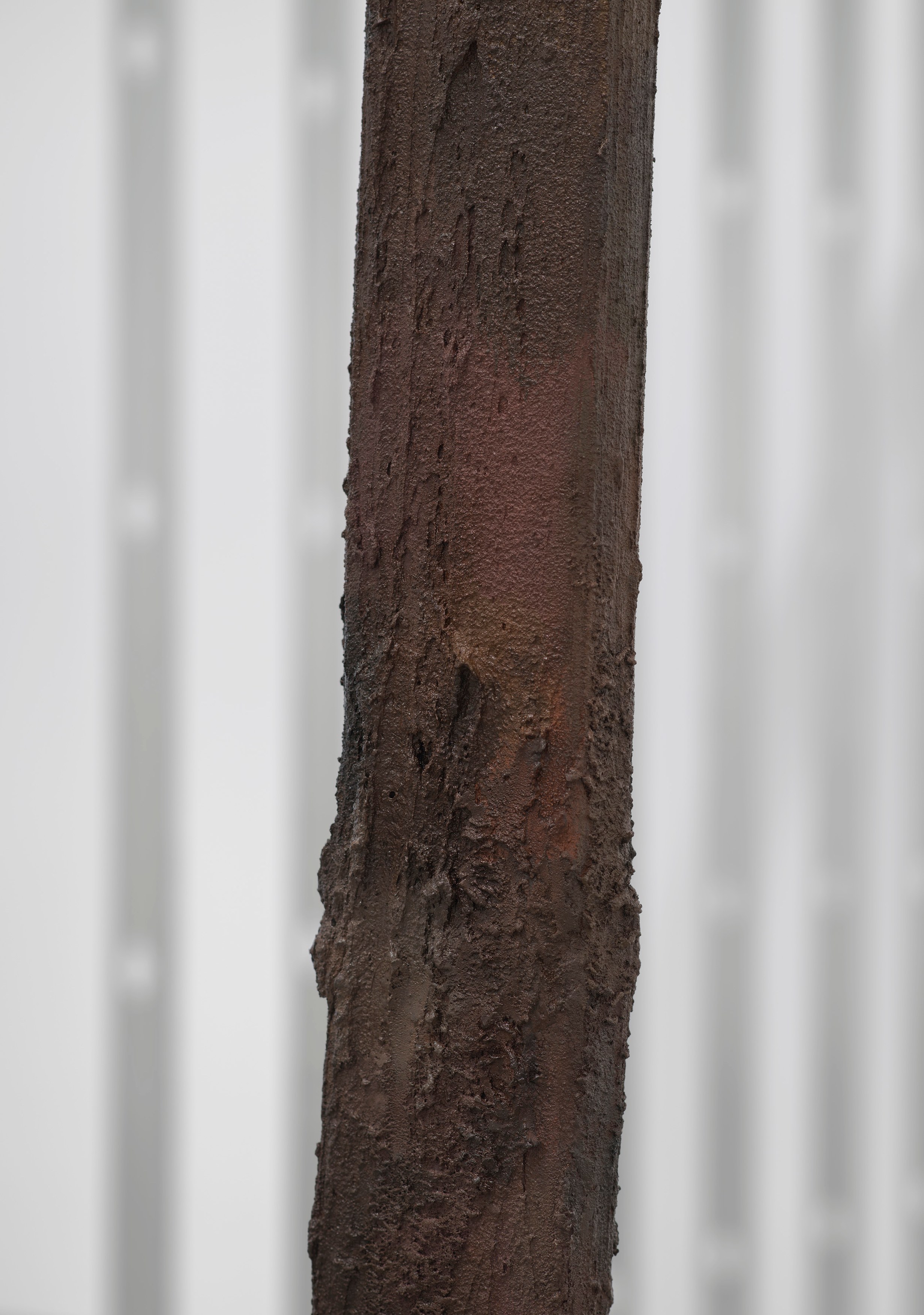 Rachel Harrison, Three Young Framers at Regen Projects, photo 181