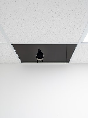 Image 10 of 46