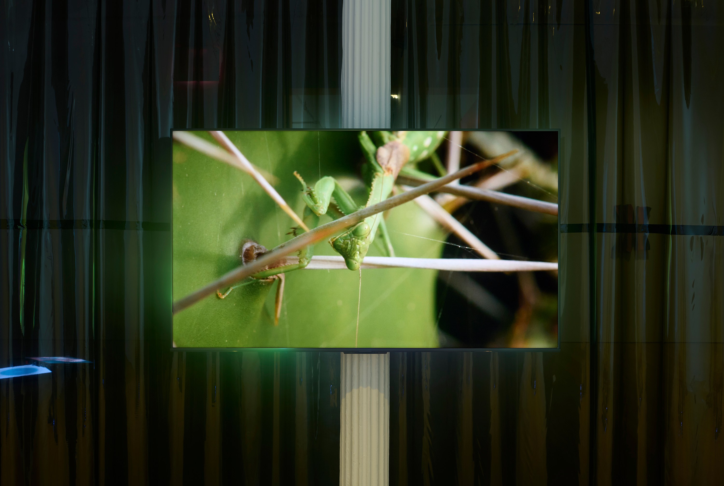 Luiz Roque, Holes at Mendes Wood DM, photo 11