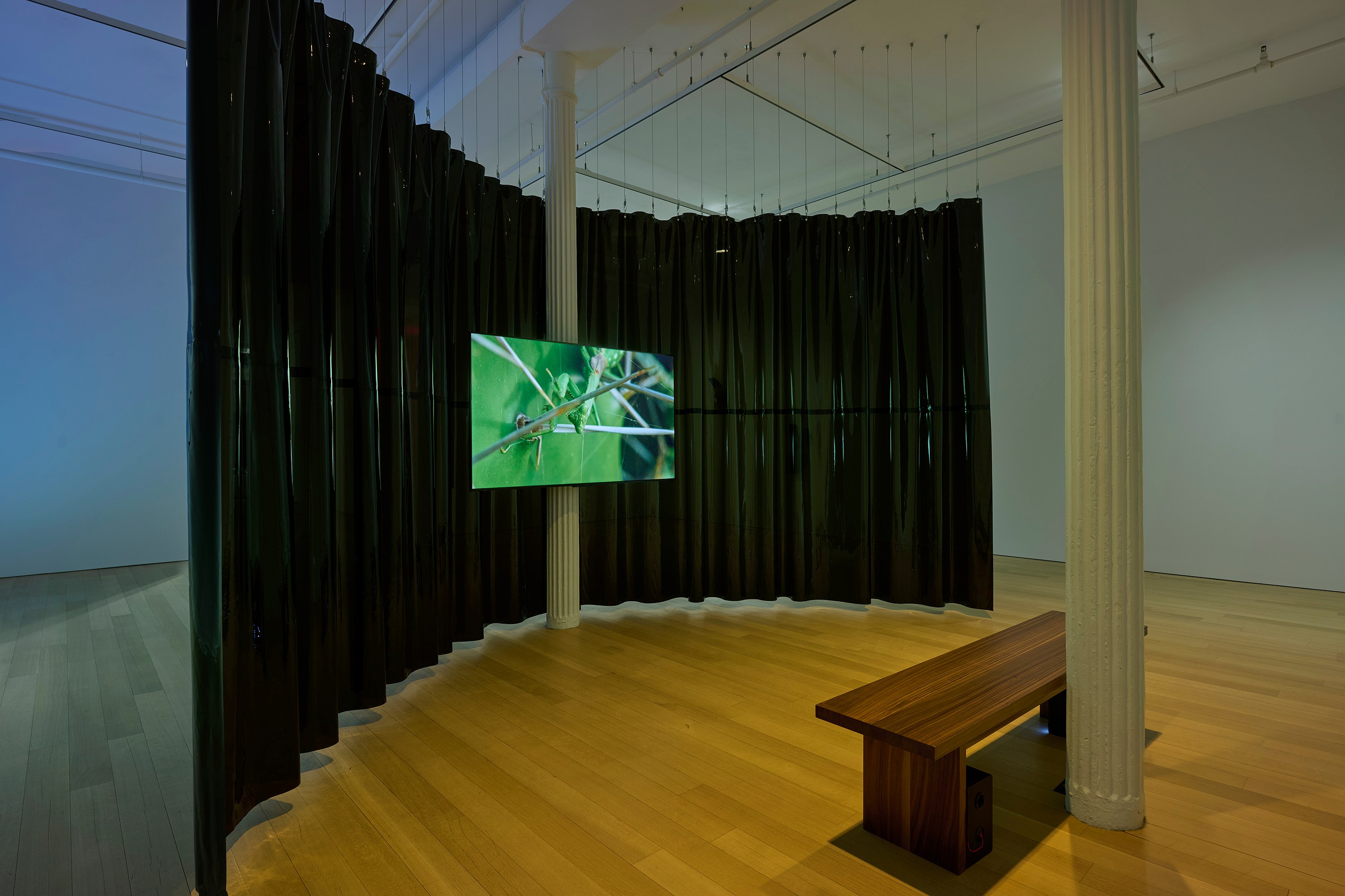 Luiz Roque, Holes at Mendes Wood DM, photo 18