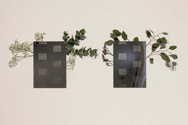 Image 11 of 13