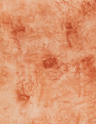 Image 12 of 21