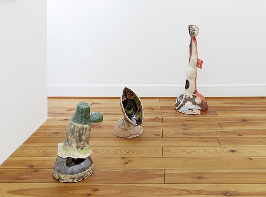 Image 7 of 16