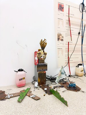 Image 11 of 22