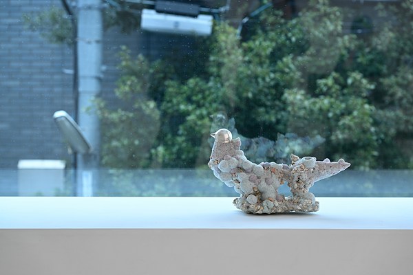 Image 9 of 34