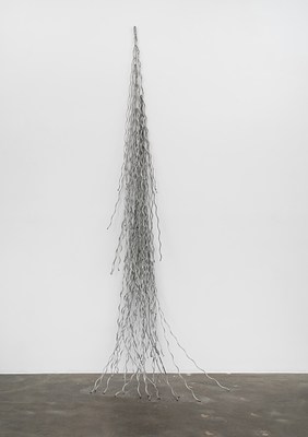 Image 4 of 16