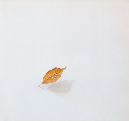 Image 1 of 12