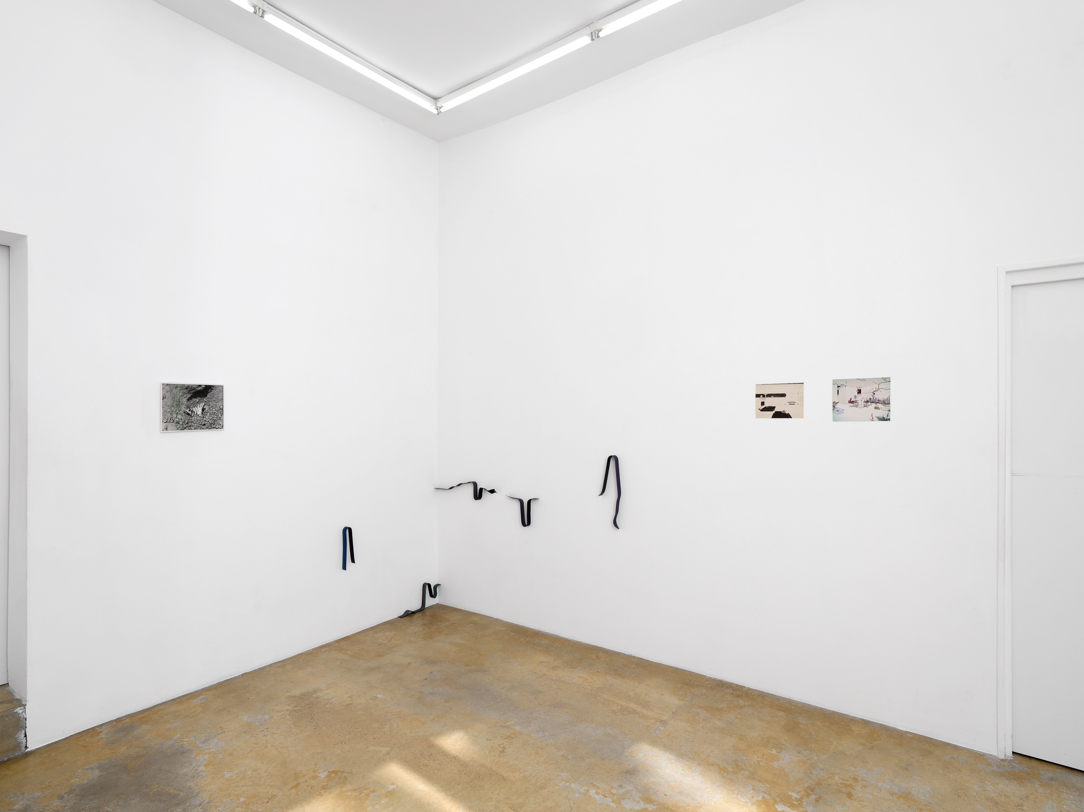 Katinka Bock, Hanako Murakami, When in doubt #2 at Galerie Florence Loewy, photo 6