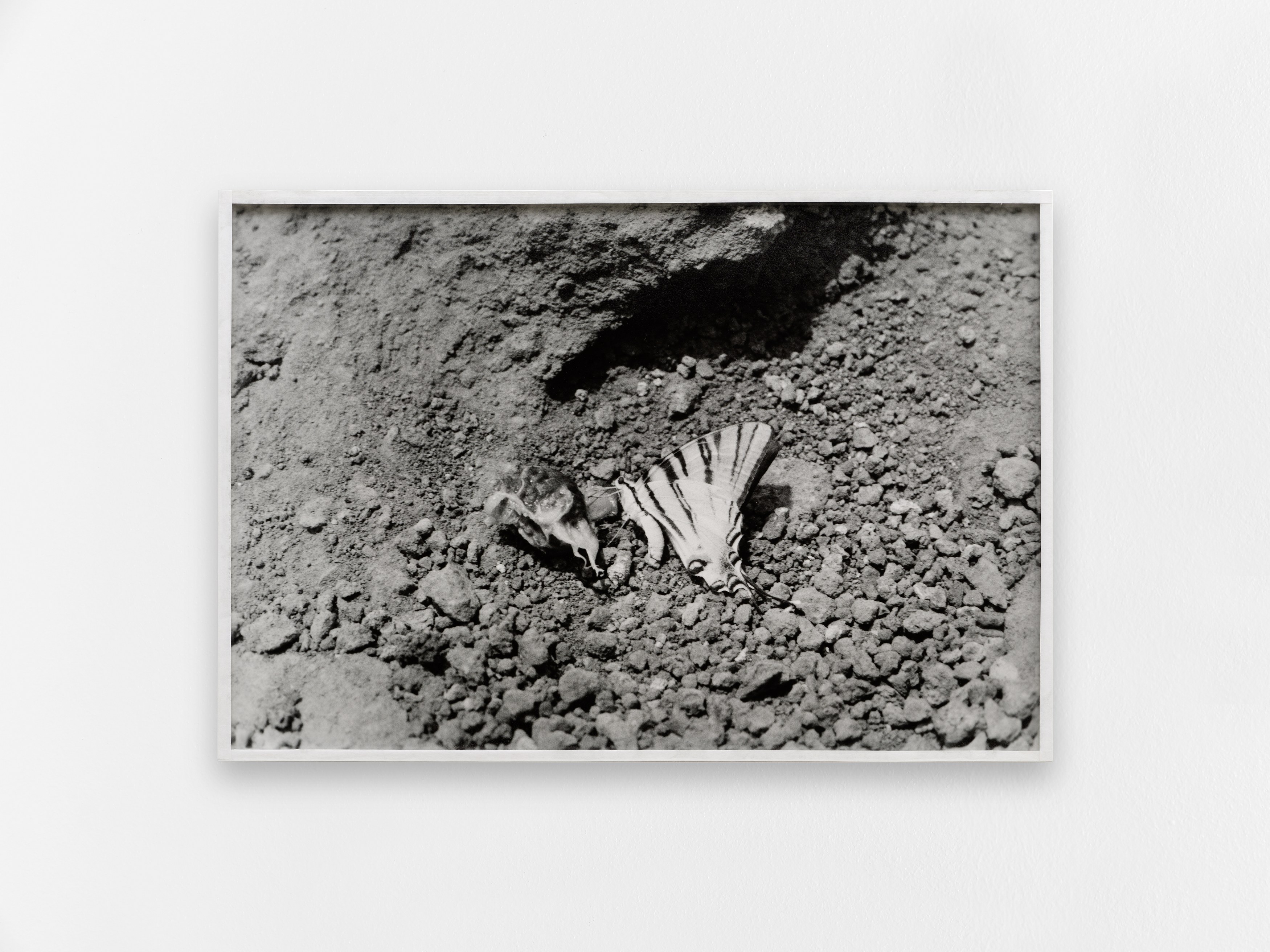 Katinka Bock, Hanako Murakami, When in doubt #2 at Galerie Florence Loewy, photo 7