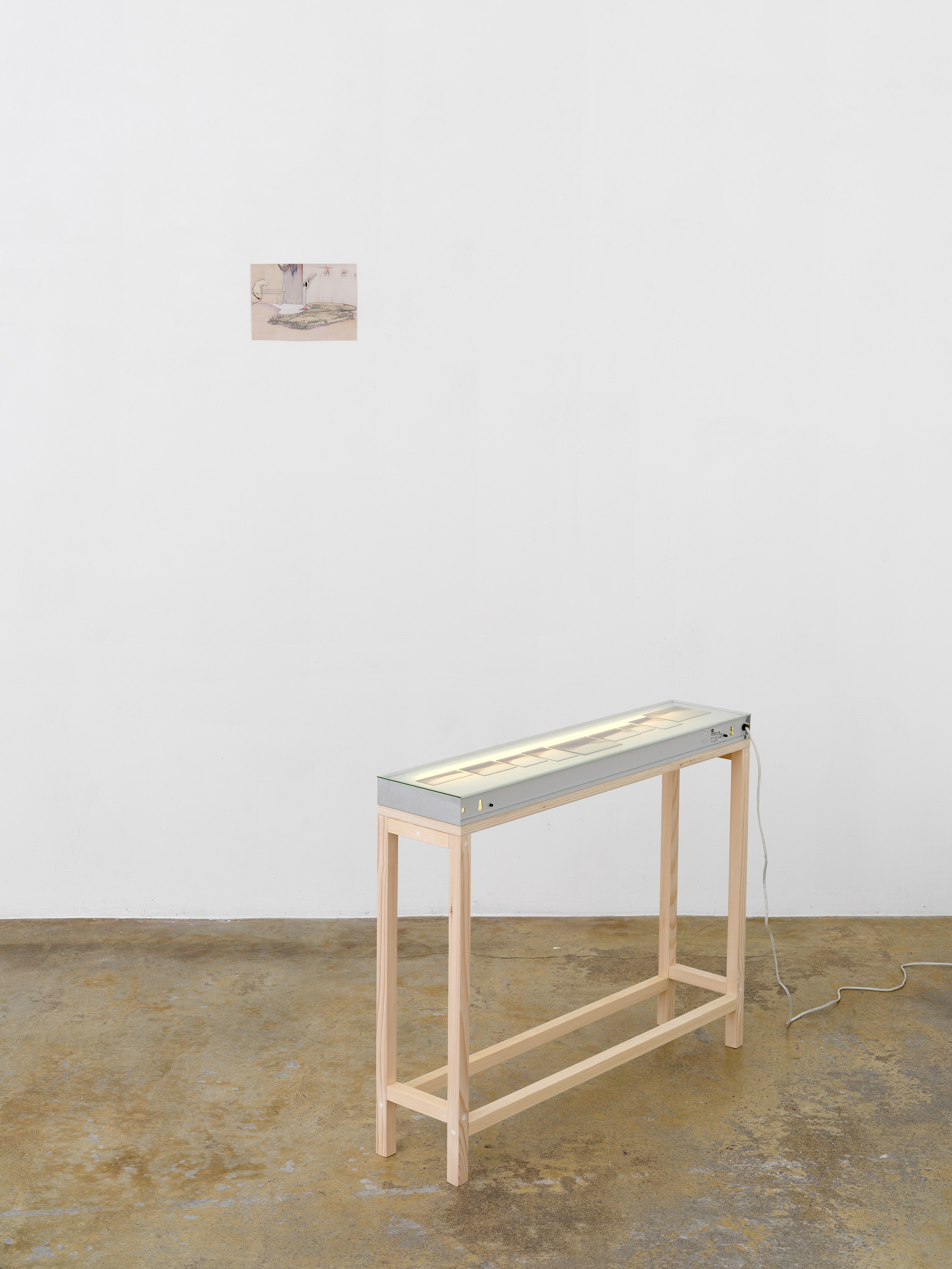 Katinka Bock, Hanako Murakami, When in doubt #2 at Galerie Florence Loewy, photo 12