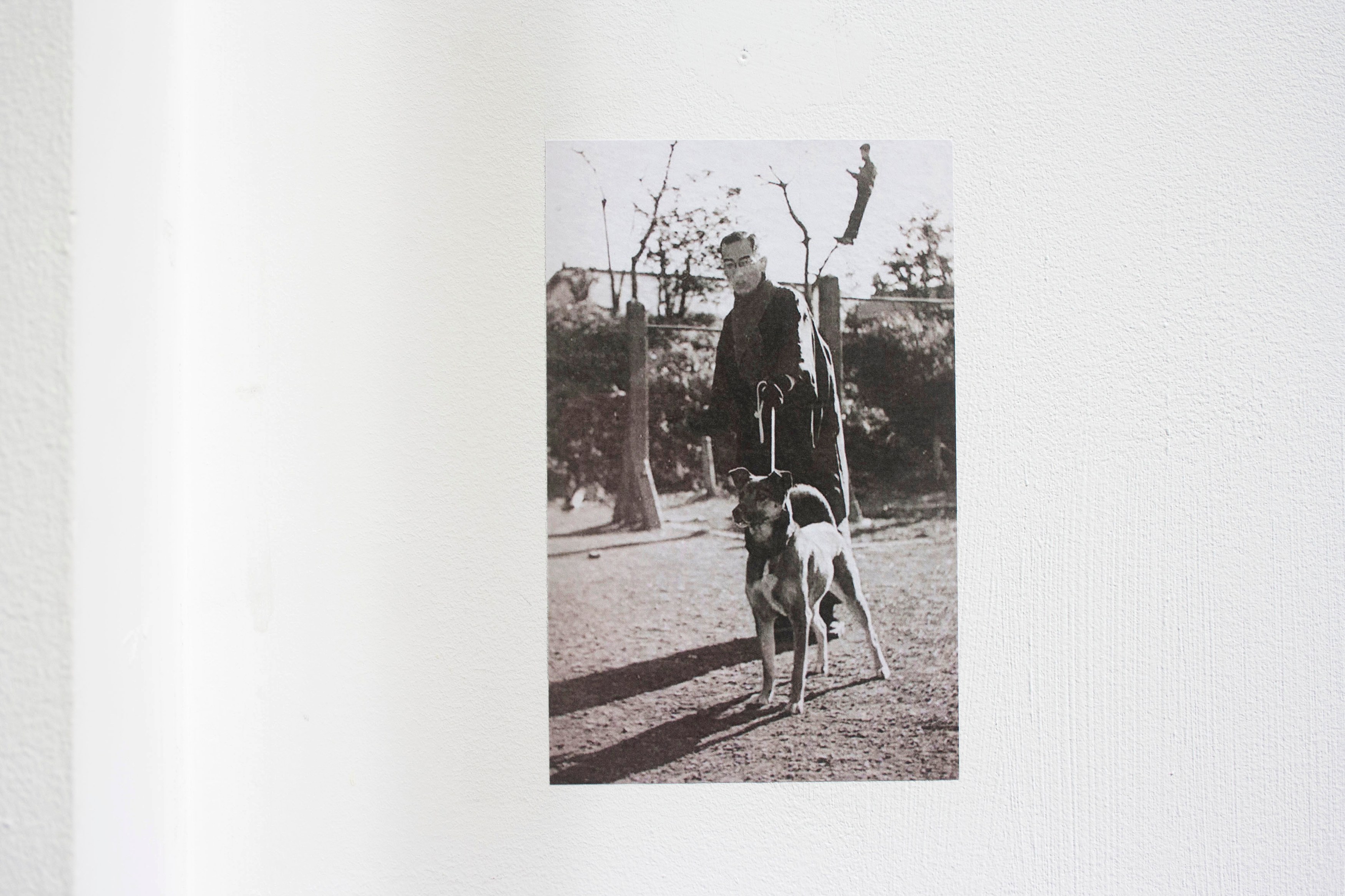 Katinka Bock, Hanako Murakami, When in doubt #2 at Galerie Florence Loewy, photo 16