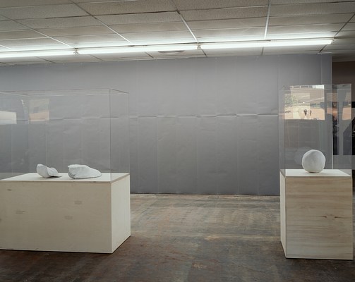 Image 7 of 12