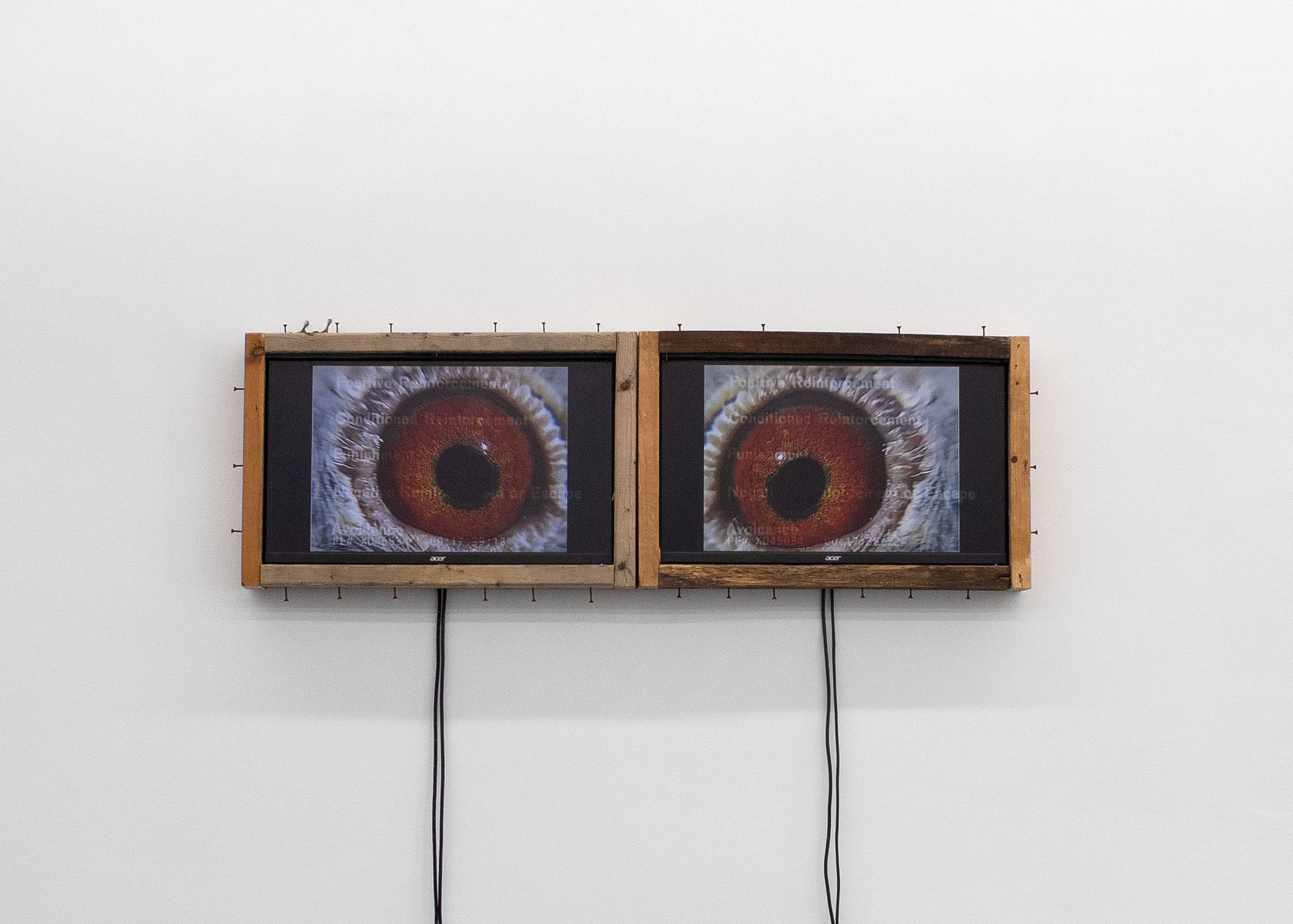 Cameron A. Granger, Shelf at Kate Werble, photo 28
