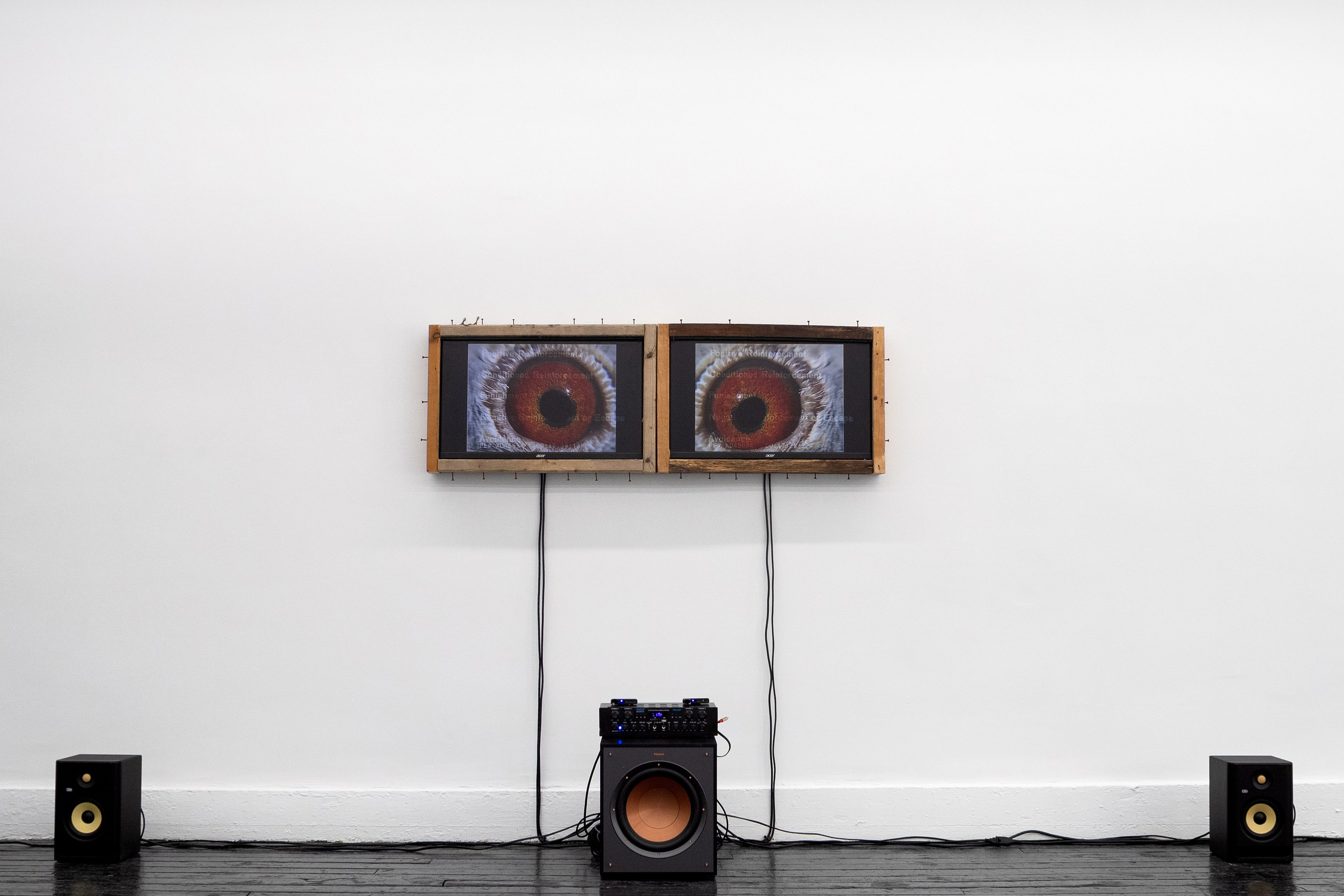 Cameron A. Granger, Shelf at Kate Werble, photo 29
