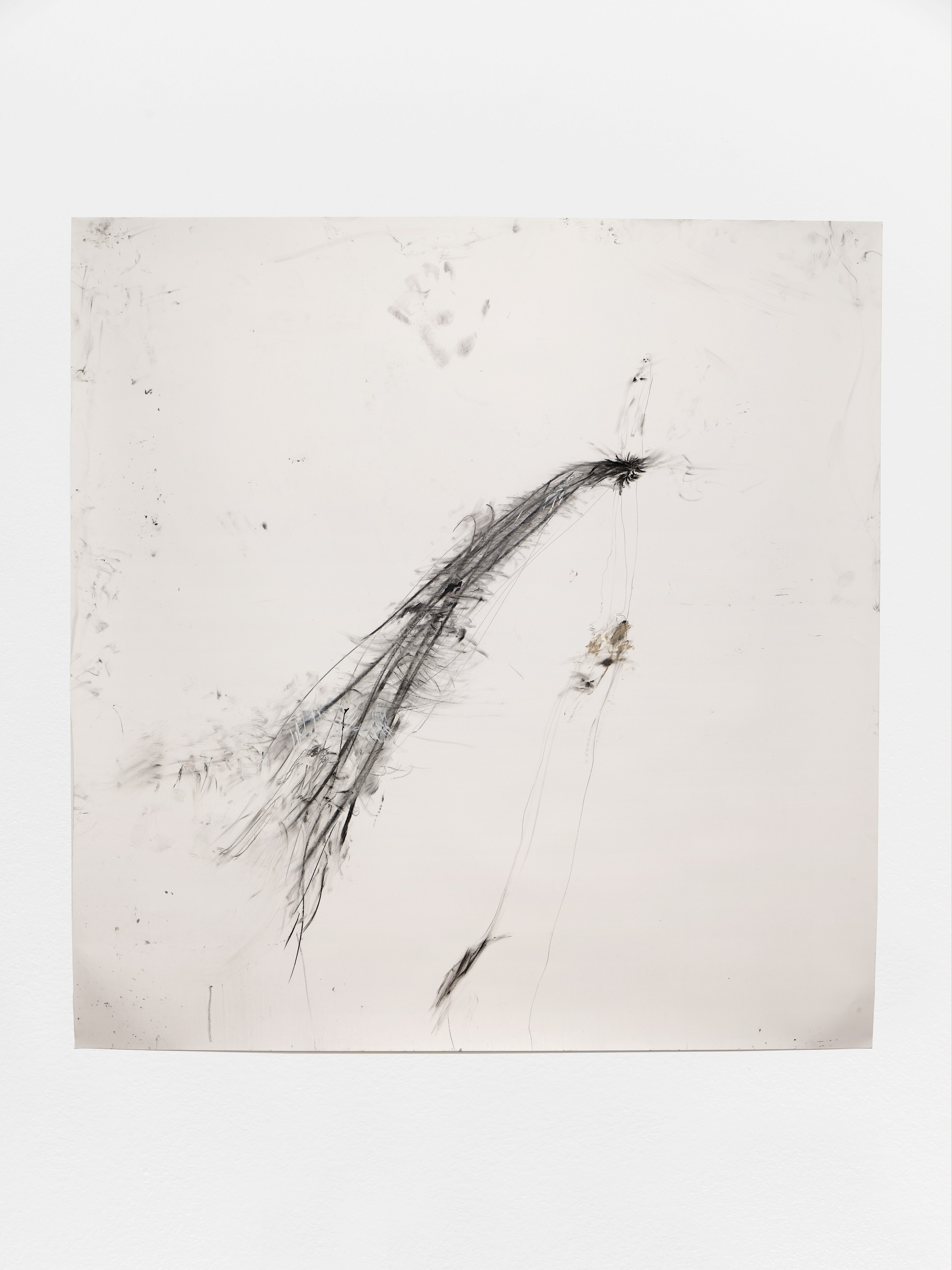 Aurélien Froment, Armineh Negahdari, Un oiseau passe. Je le suis at Marcelle Alix, photo 23